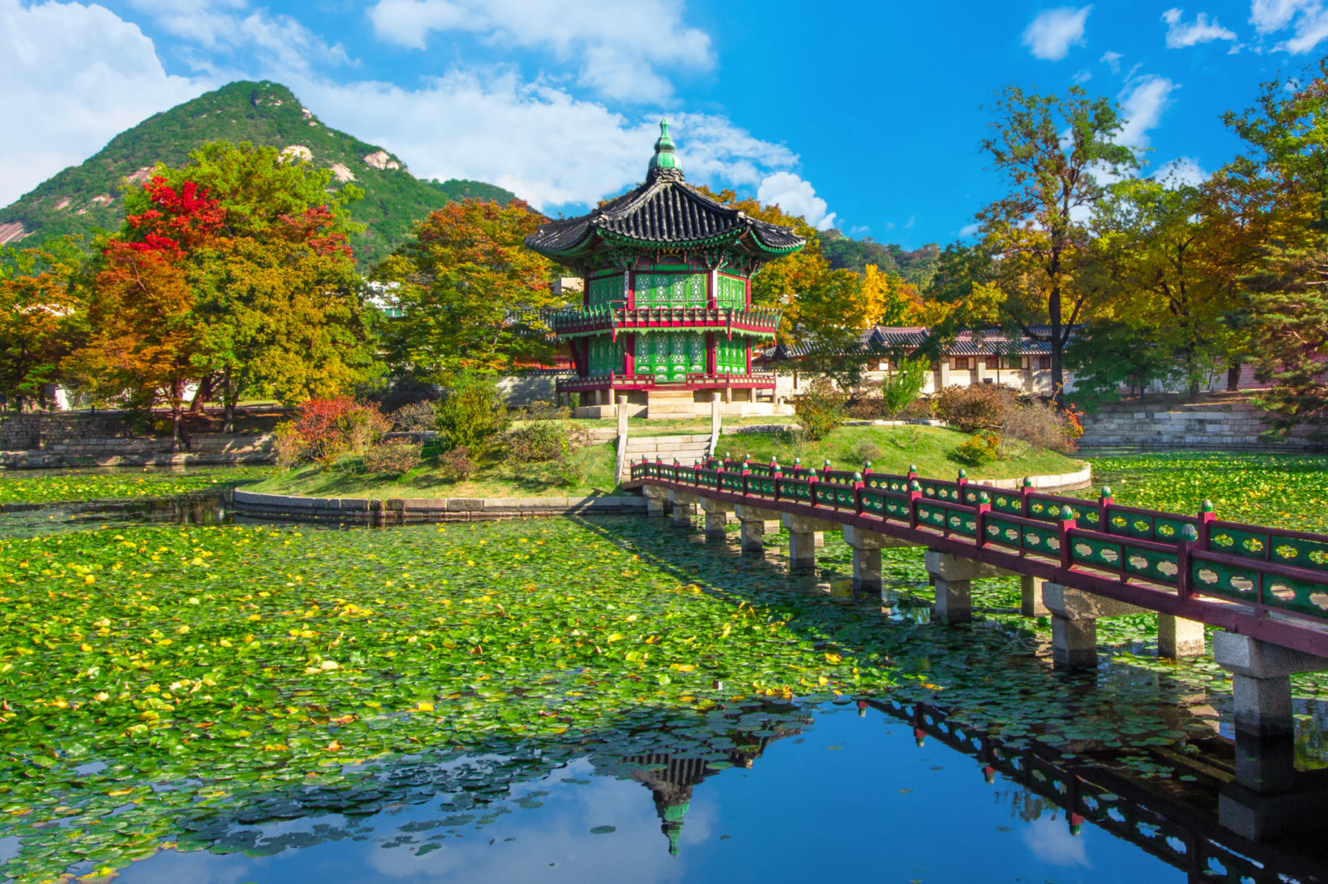Seoul Gyeongbok Palace Half-Day Small Group Tour - Thumbnail 4