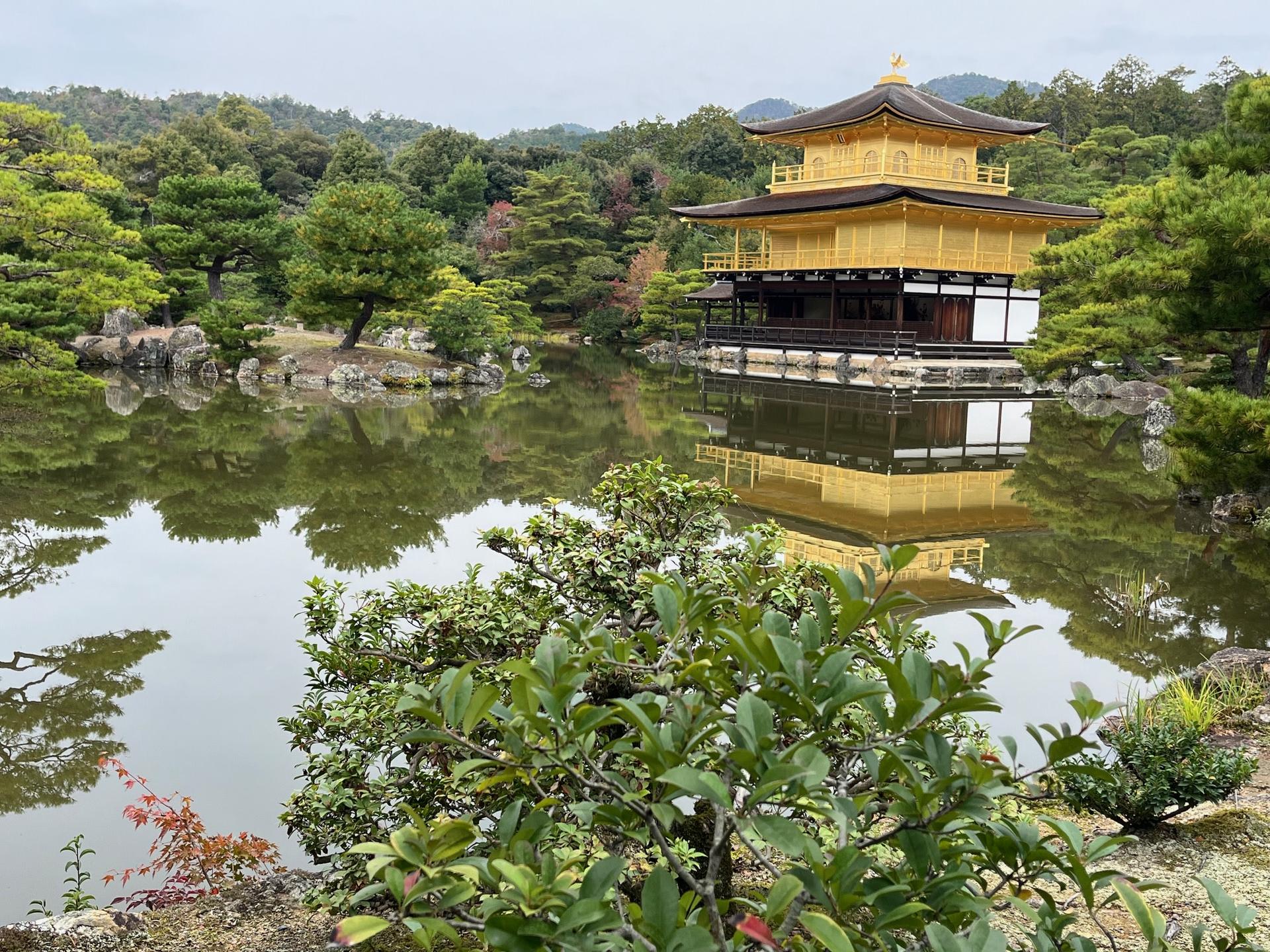 Full-Day Private Guided Tour to Kyoto Temples - Image 1