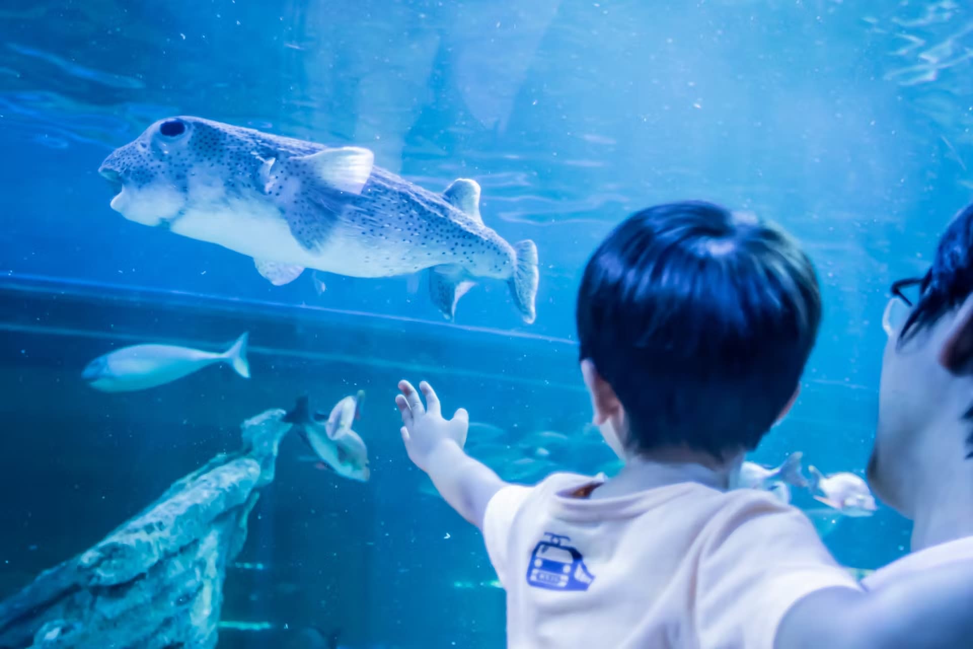 Shinagawa Aquarium Admission Ticket in Tokyo - Thumbnail 7