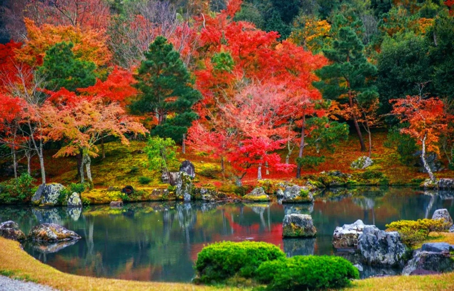 Kinkaku-ji Temple & Arashiyama Night Train Illuminations Autumn Foliage Viewing Day Tour - Thumbnail 8