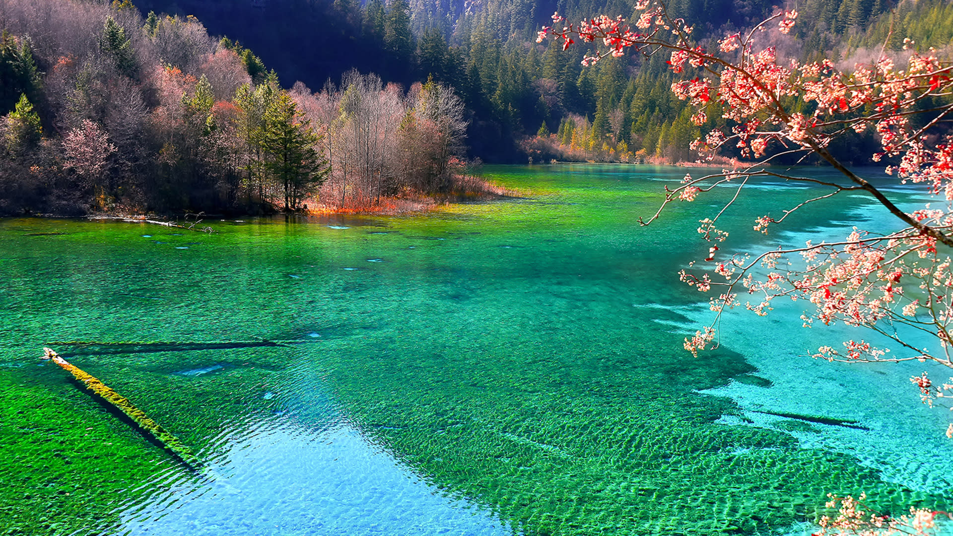 Jiuzhaigou/Huanglong 1-Day Chartered Car (Including High-Speed Rail Station Transfer) - Thumbnail 2