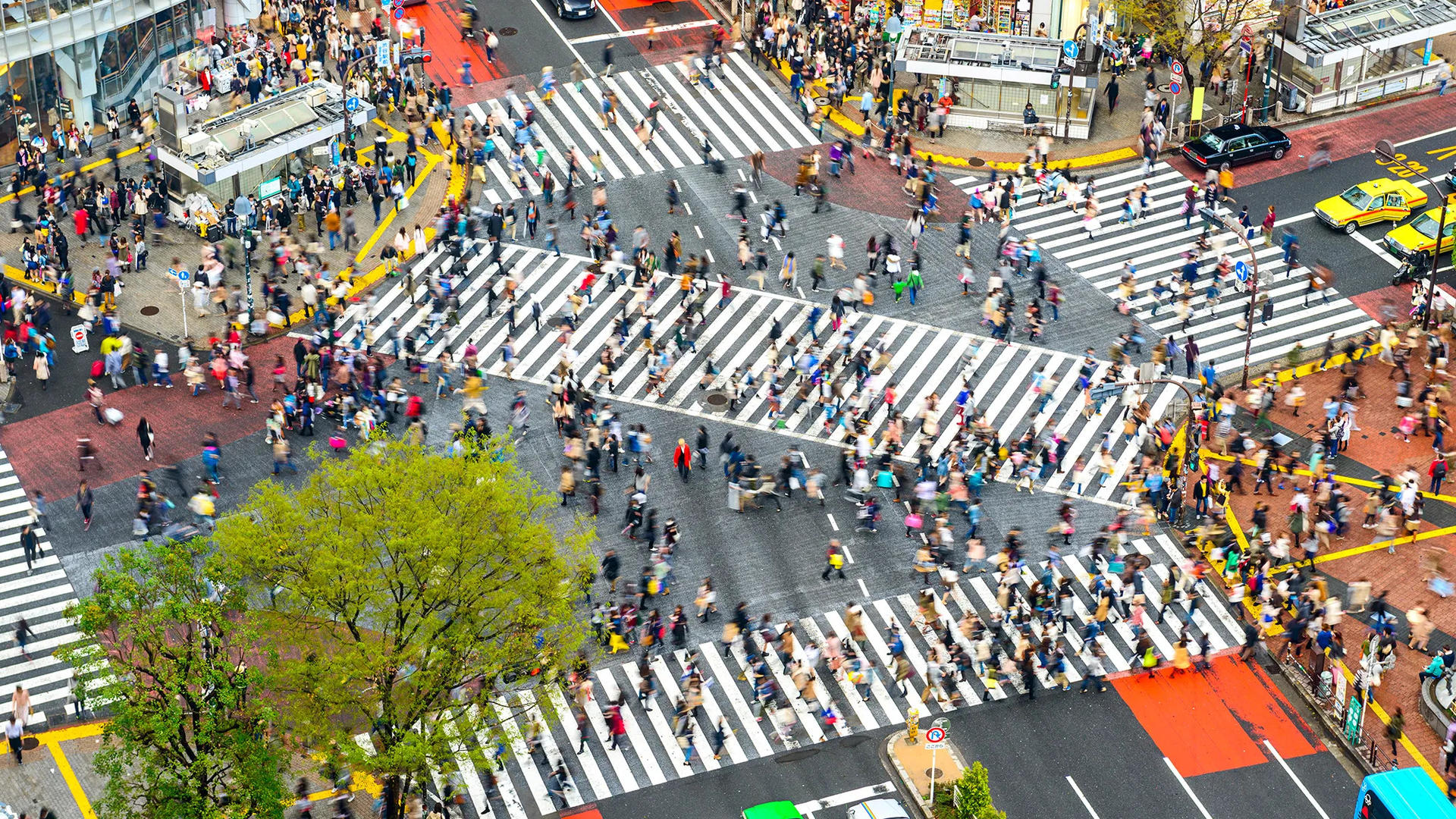 Tokyo City, Imperial Palace, Shibuya Crossing, & Meiji Jingu Tour - Image 1