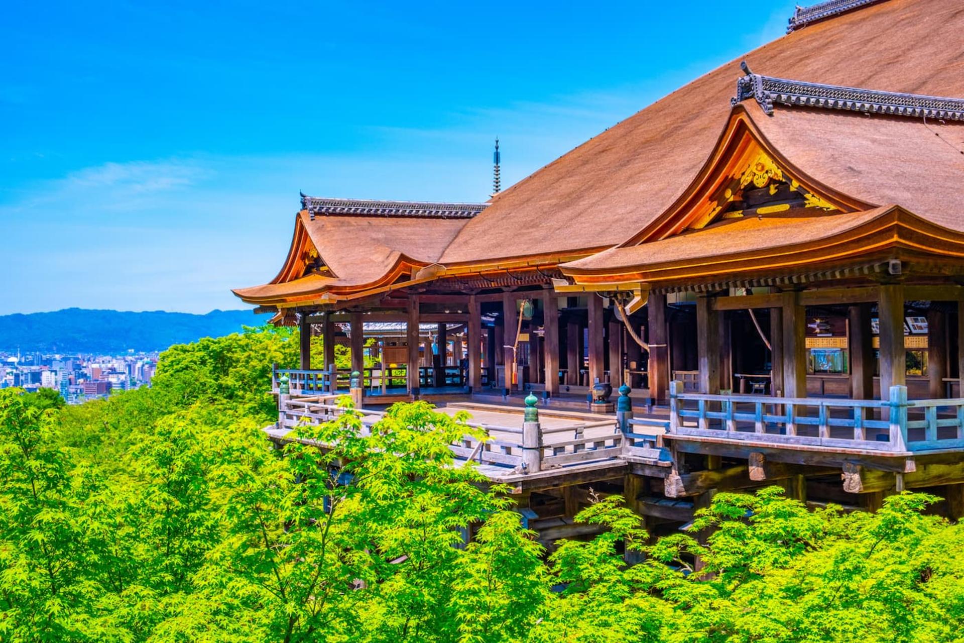 [1 Person Group] Meet adorable deer, stroll through ancient capitals: Kyoto, Nara, Osaka Kansai classic panoramic one-day tour - Thumbnail 4