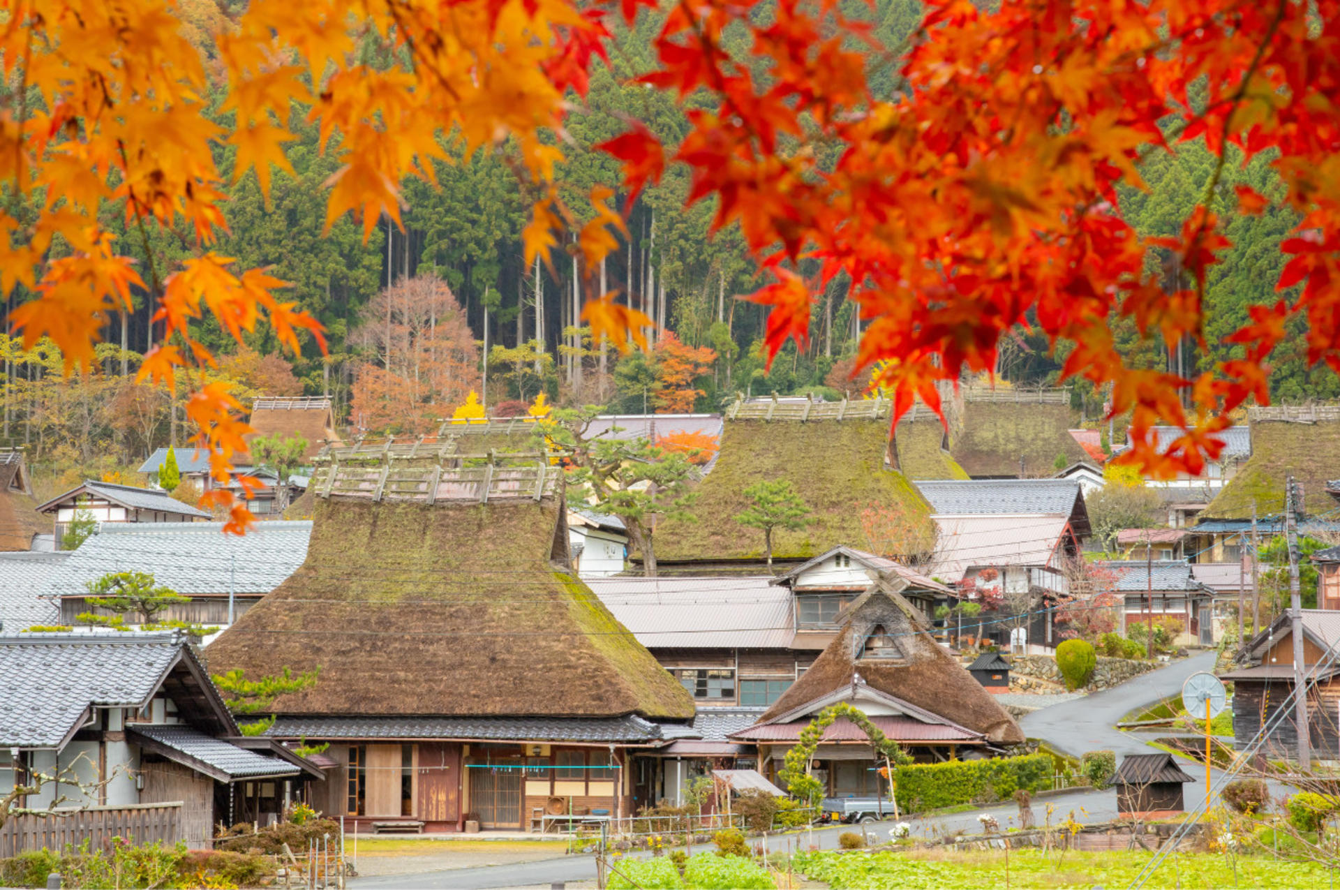 [Departing from Osaka/Kyoto] Kyoto/Nara/Osaka Enjoy a flexible and customized chartered car day trip in Kansai - Thumbnail 7