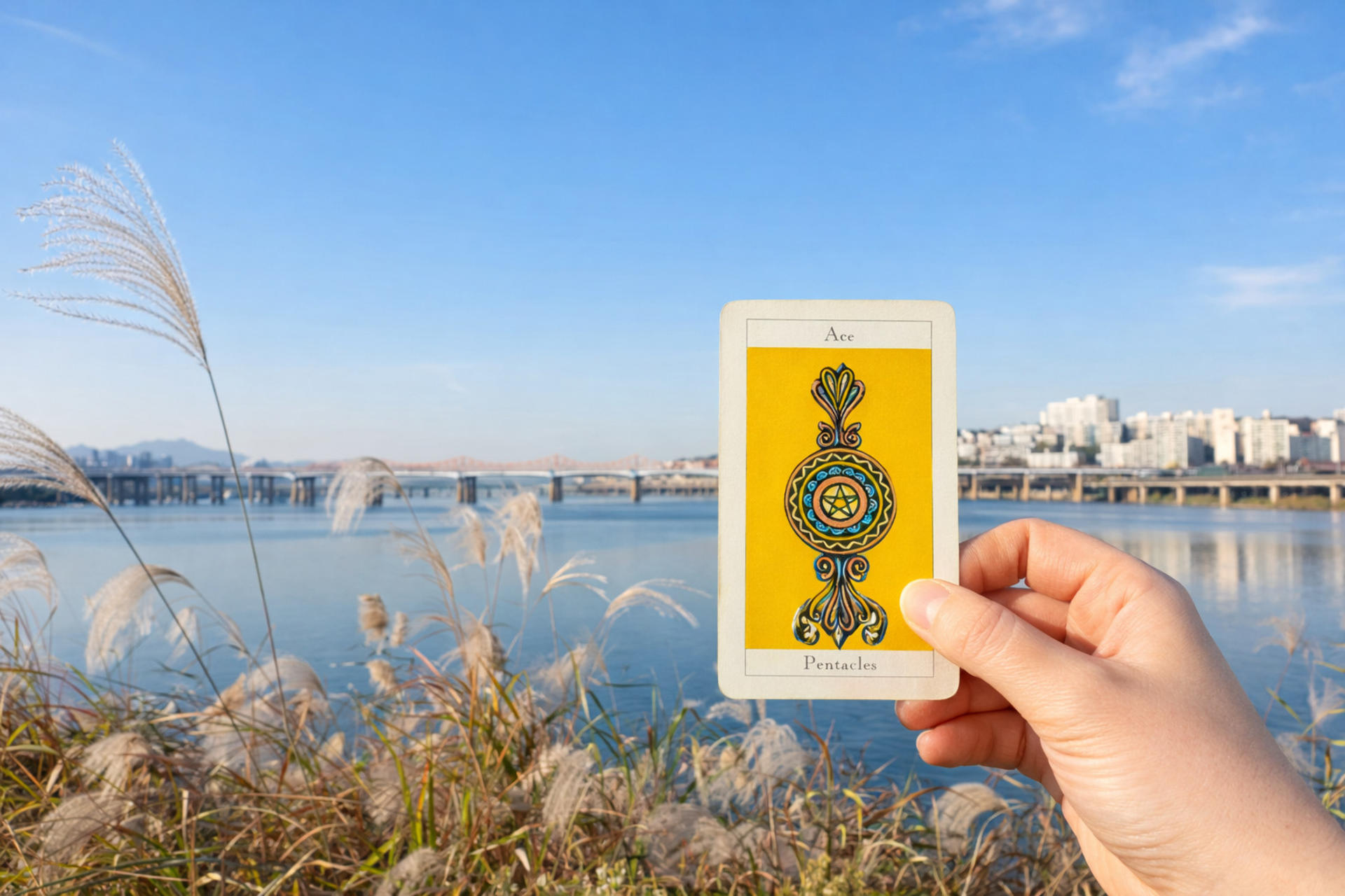 Slow Seoul: Riverside Walking & Mindful Tarot Reading - Image 1
