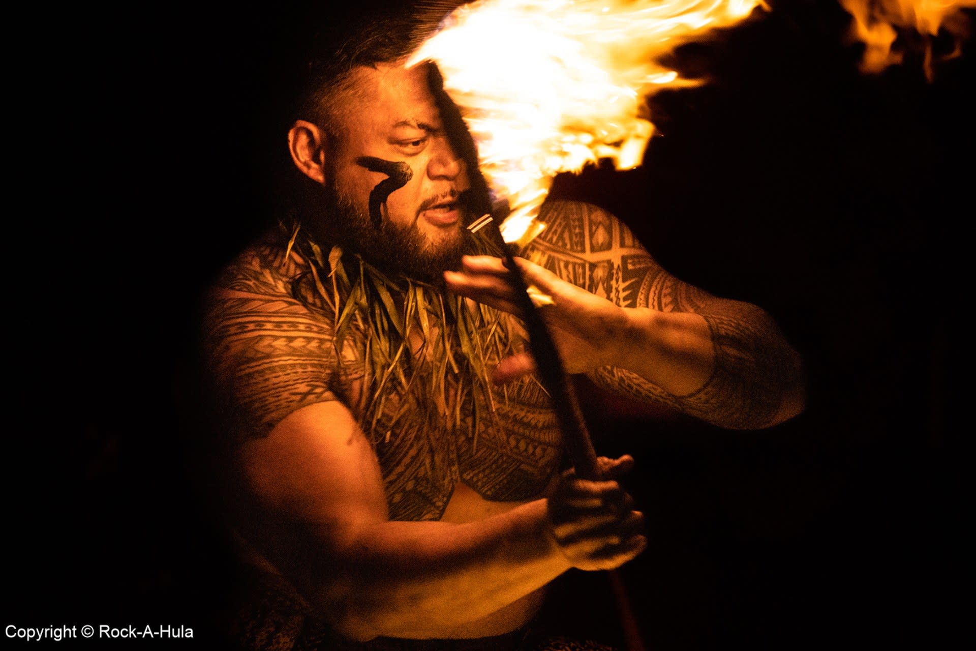 Waikiki Luau with Rock-A-Hula Show Dinner Options - Thumbnail 8