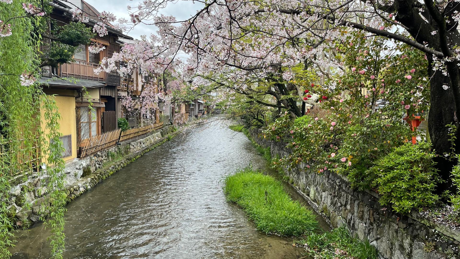 Kyoto Gion 3-Hour Private Old Town Walking Tour - Thumbnail 7