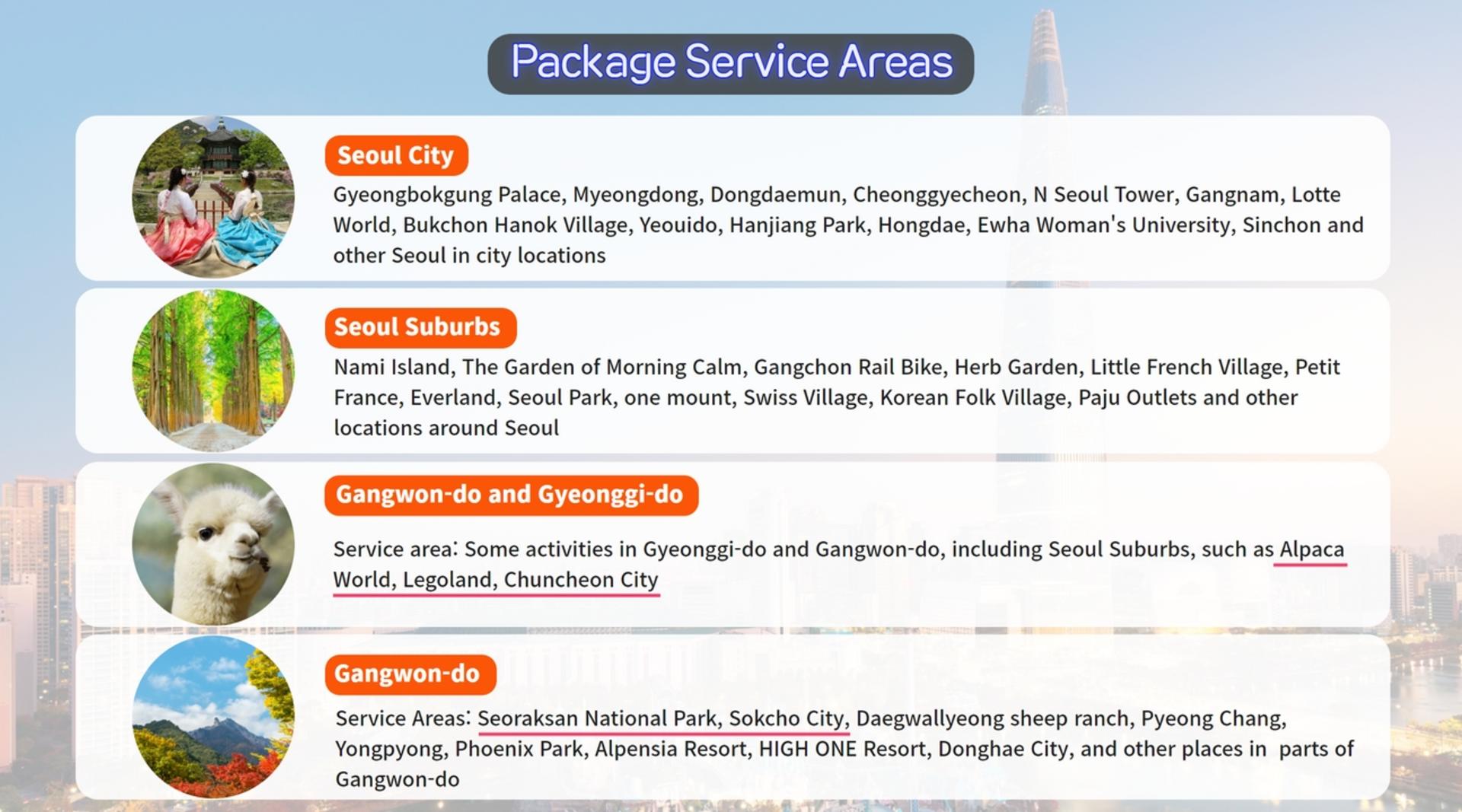 Seoul Private Car Charter to Seoul City / Seoul Suburb / Gangwon-do (Nami Island / Alpaca World / Sokcho) - Thumbnail 10