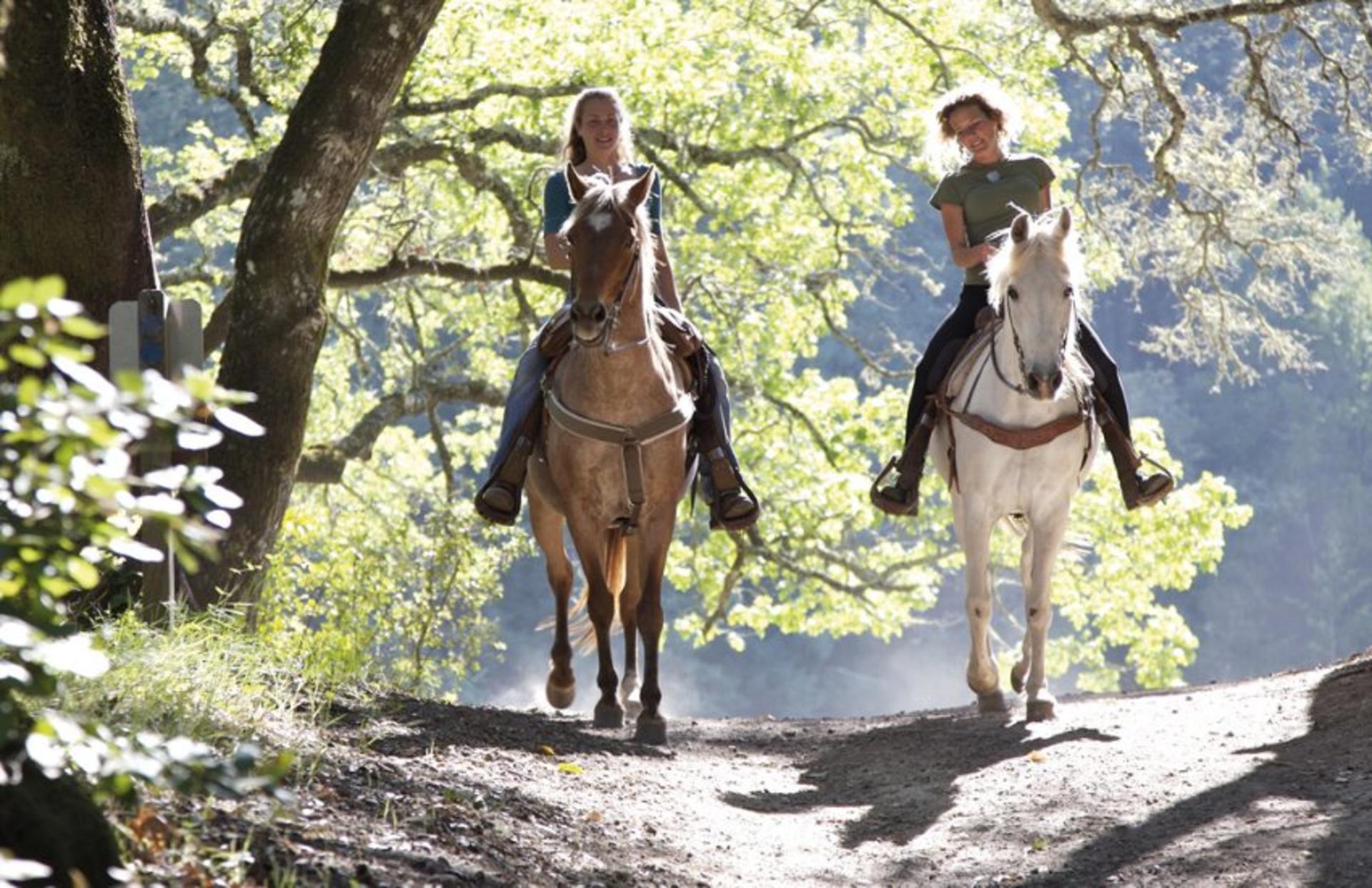Tuscan Chianti Hills Horseback Riding Tour - Thumbnail 6