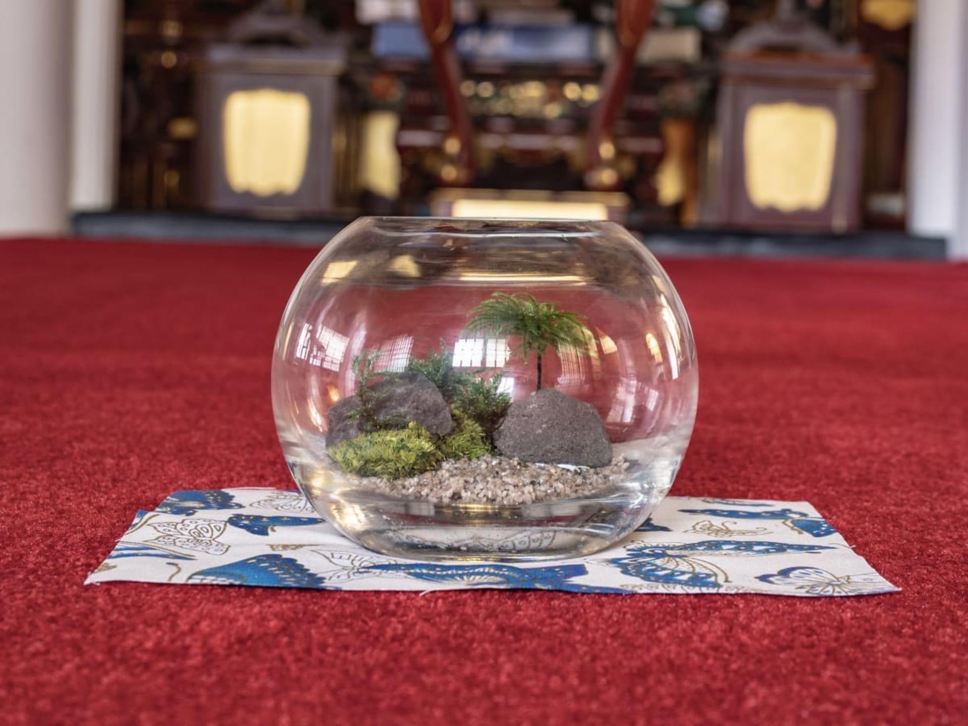 Asakusa Jusen-in Moss art experience - Thumbnail 7