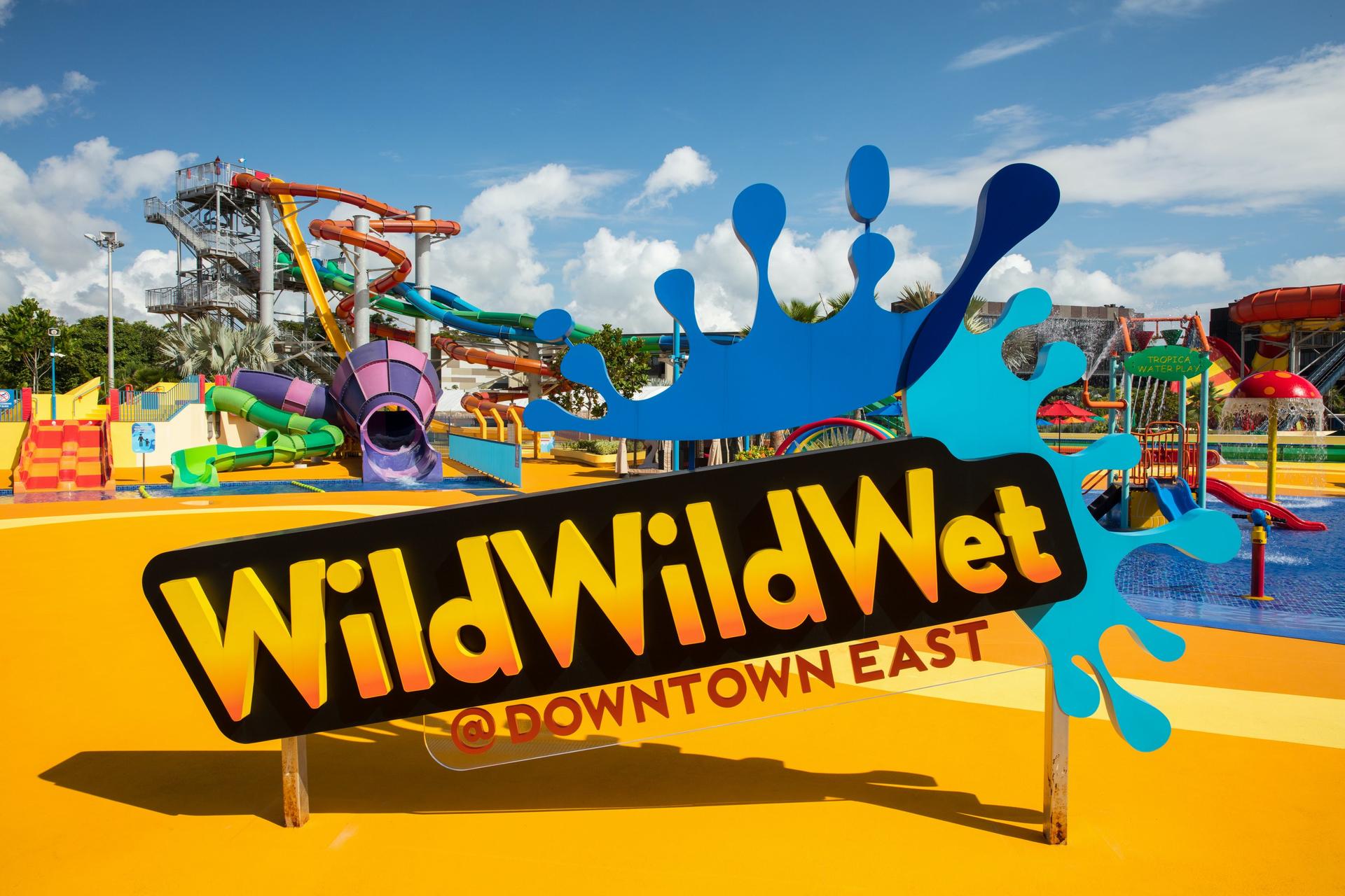 Singapore Wild Wild Wet Ticket - Image 1