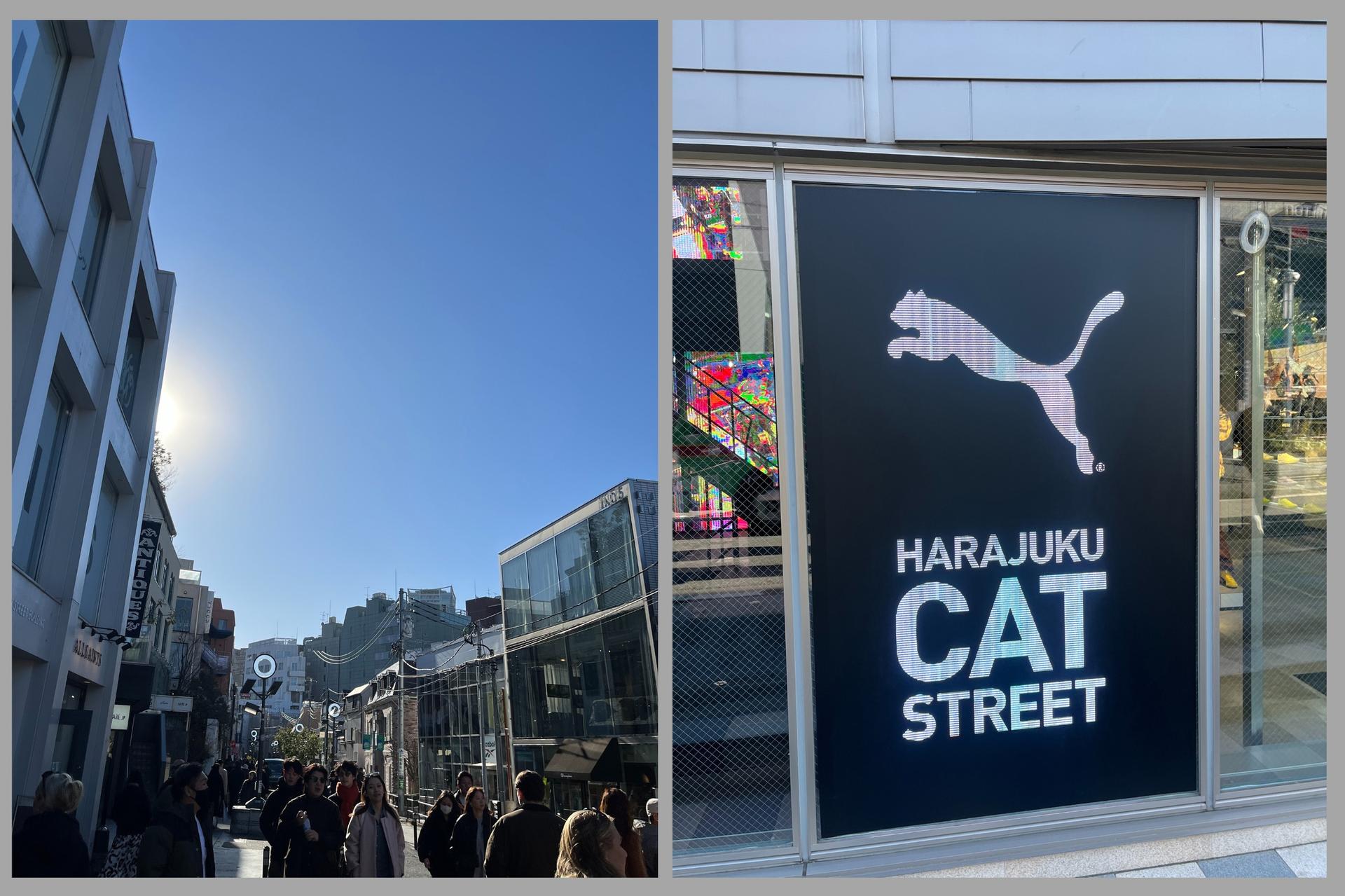 Tokyo Shibuya & Harajuku Half-Day Small Group Tour - Thumbnail 16