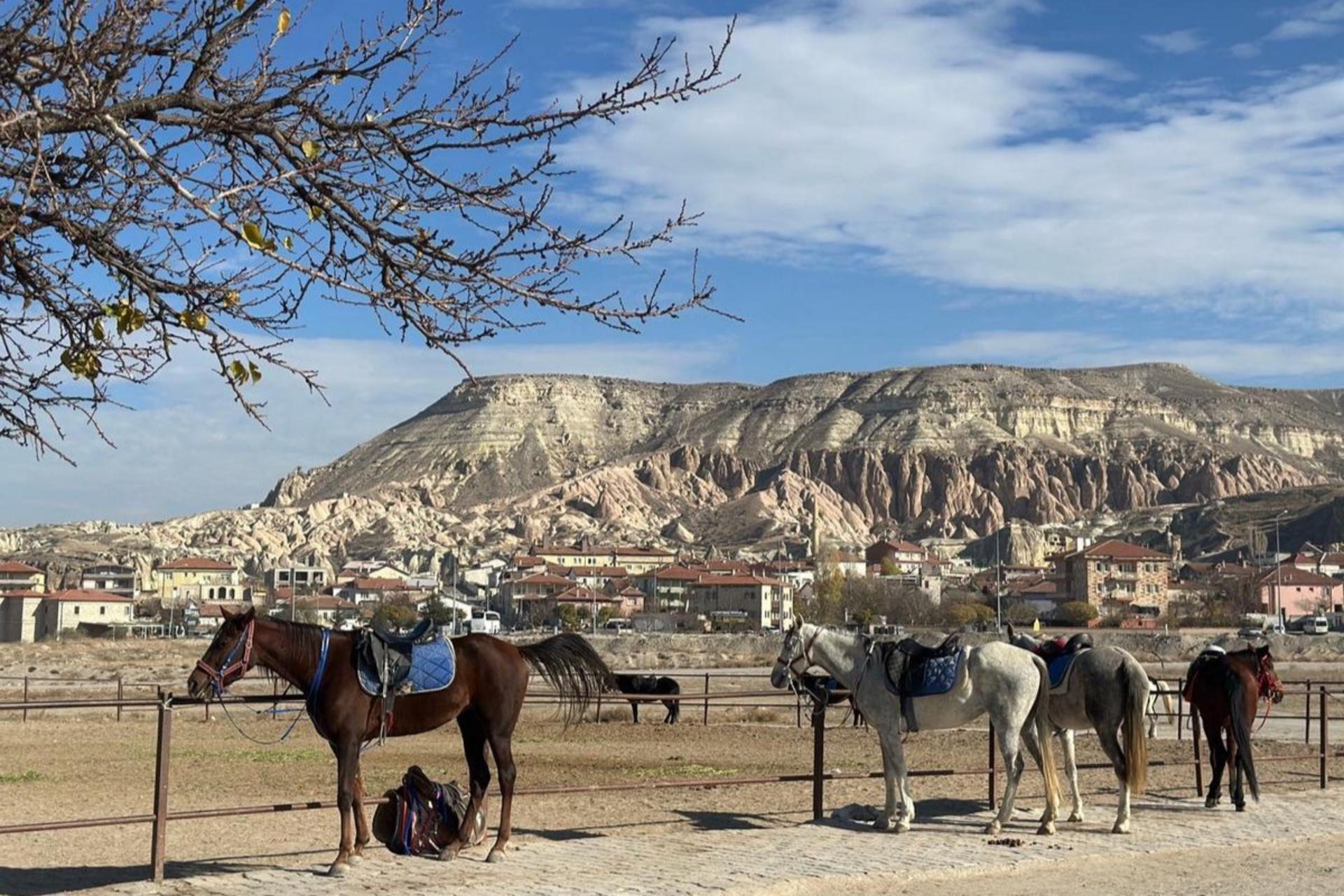 Cappadocia Horseback Riding Tour  - Thumbnail 14