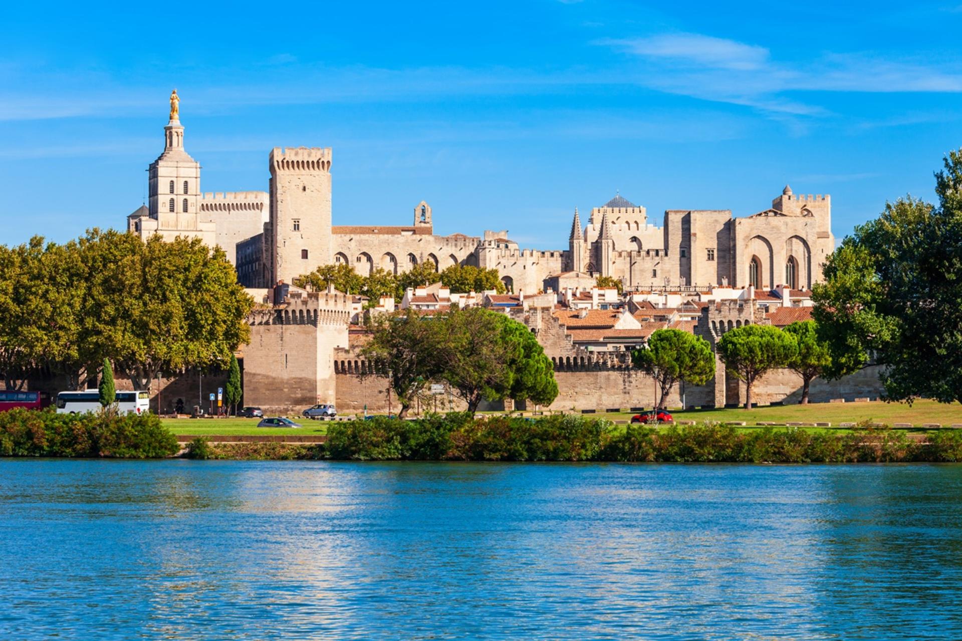 Avignon & Pont du Gard Private Tour: Palaces, Bridges & Roman Views - Thumbnail 7