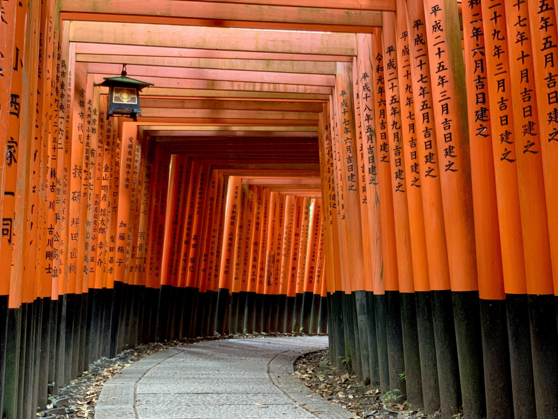 Walking Tour of Eastern Kyoto: Fushimi Inari Shrine, Kiyomizu & Gion - Image 1
