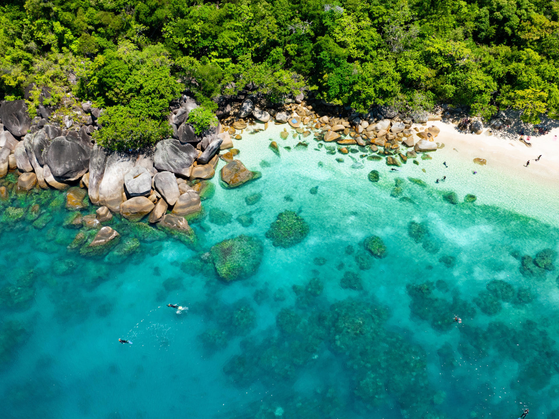 Fitzroy Island Day Trip from Cairns - Thumbnail 10