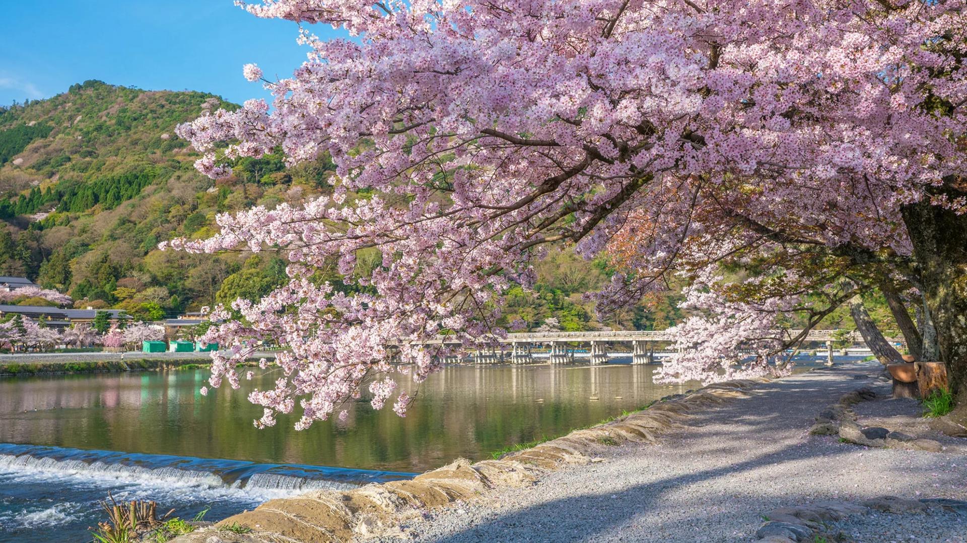 Kyoto: Arashiyama UNESCO Walking Tour with Admission - Thumbnail 12