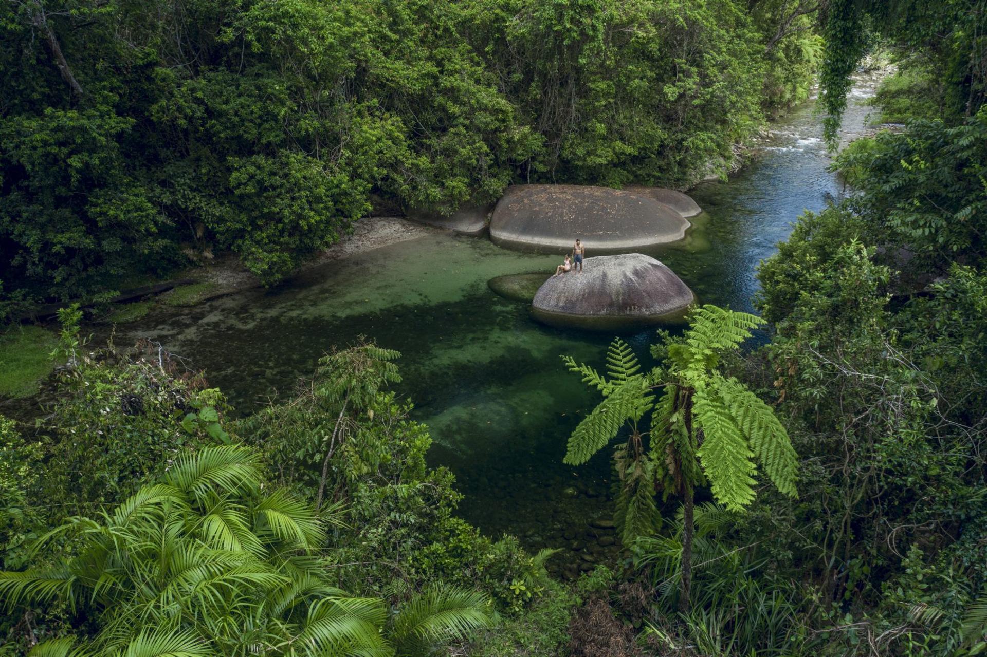 Cairns Full-Day Cassowary Coast Cultural Waterfall Tour - Thumbnail 6