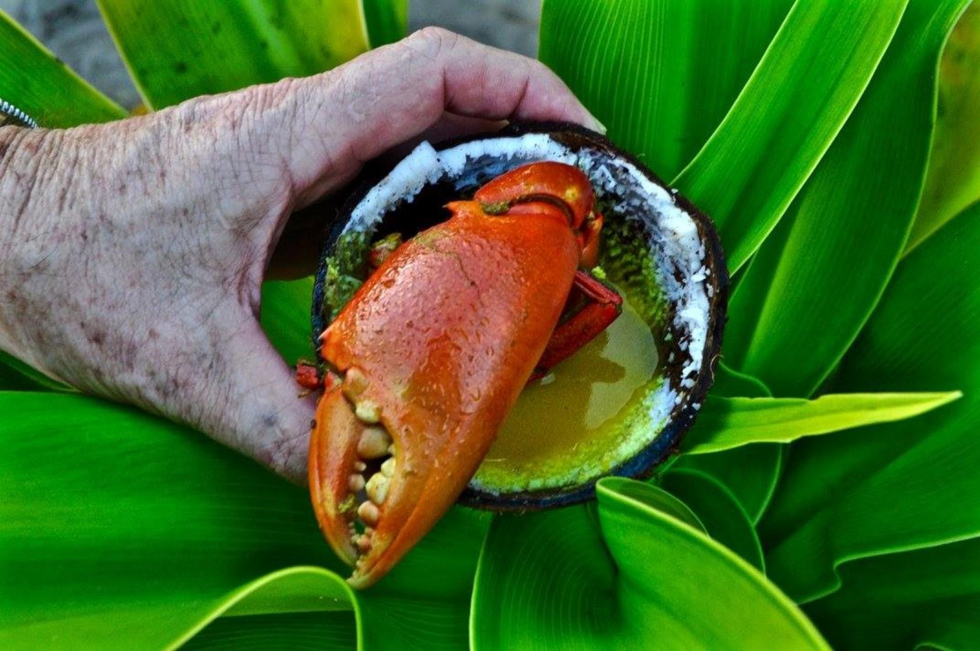 Robinson Crusoe Island Village and Crab Catching Day Tour - Thumbnail 4