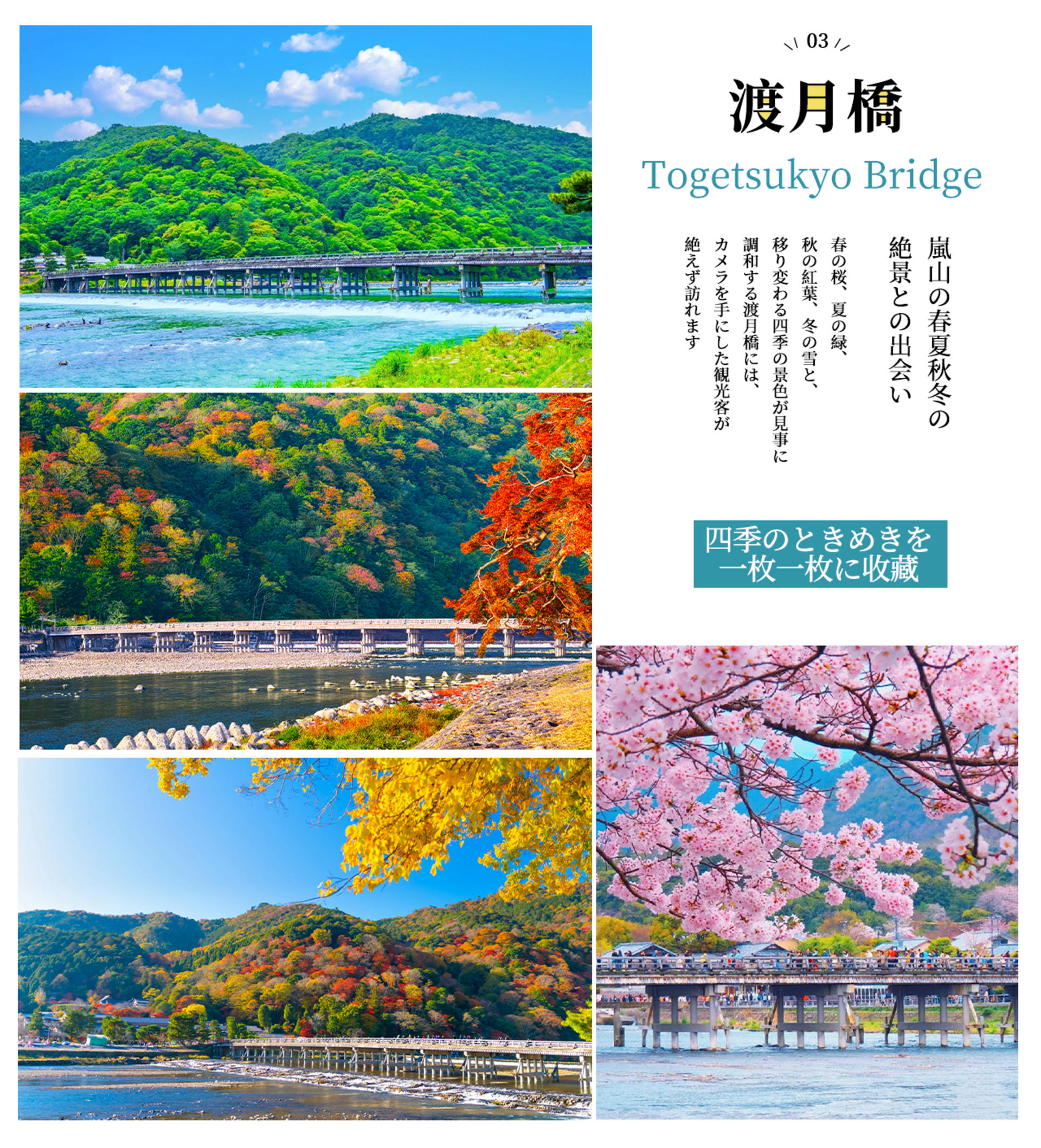 Kyoto Day Trip | Kifune Shrine & Arashiyama Bamboo Grove & Sanzen-in Temple | Stroll Through Kyoto | Guaranteed Departure for Groups of 4 (Departing from Osaka/Kyoto) - Thumbnail 7