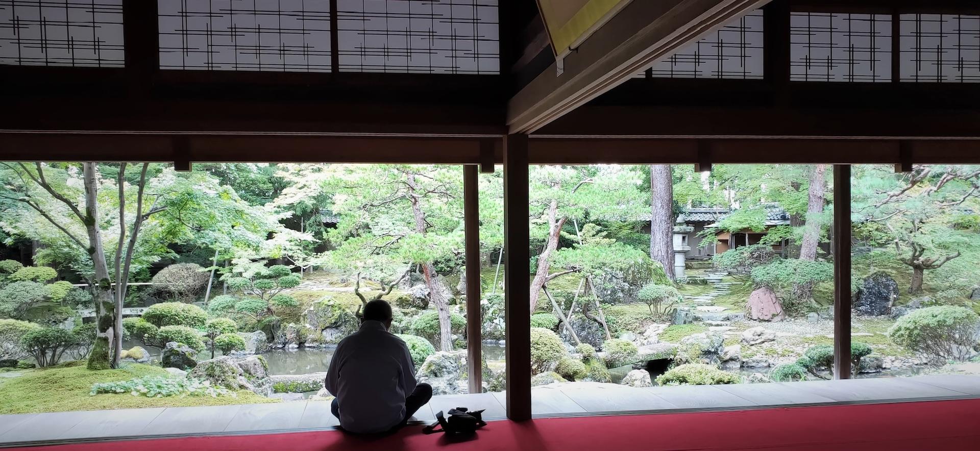 Uplifting Kyoto: Tour of Uji's Tea, Shrines, and Natural Spiritualit - Thumbnail 14