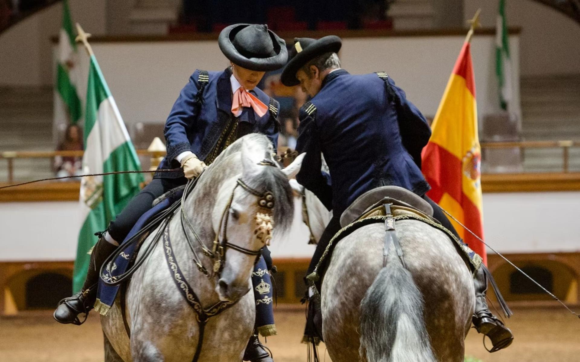 Royal Andalusian School of Equestrian Art full visit experience - Thumbnail 2
