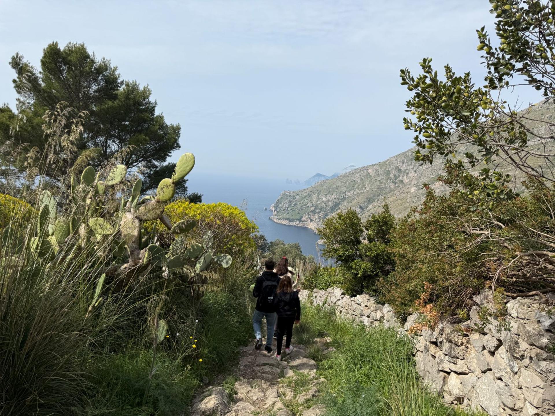 Bay of Ieranto Hiking Tour - Thumbnail 8
