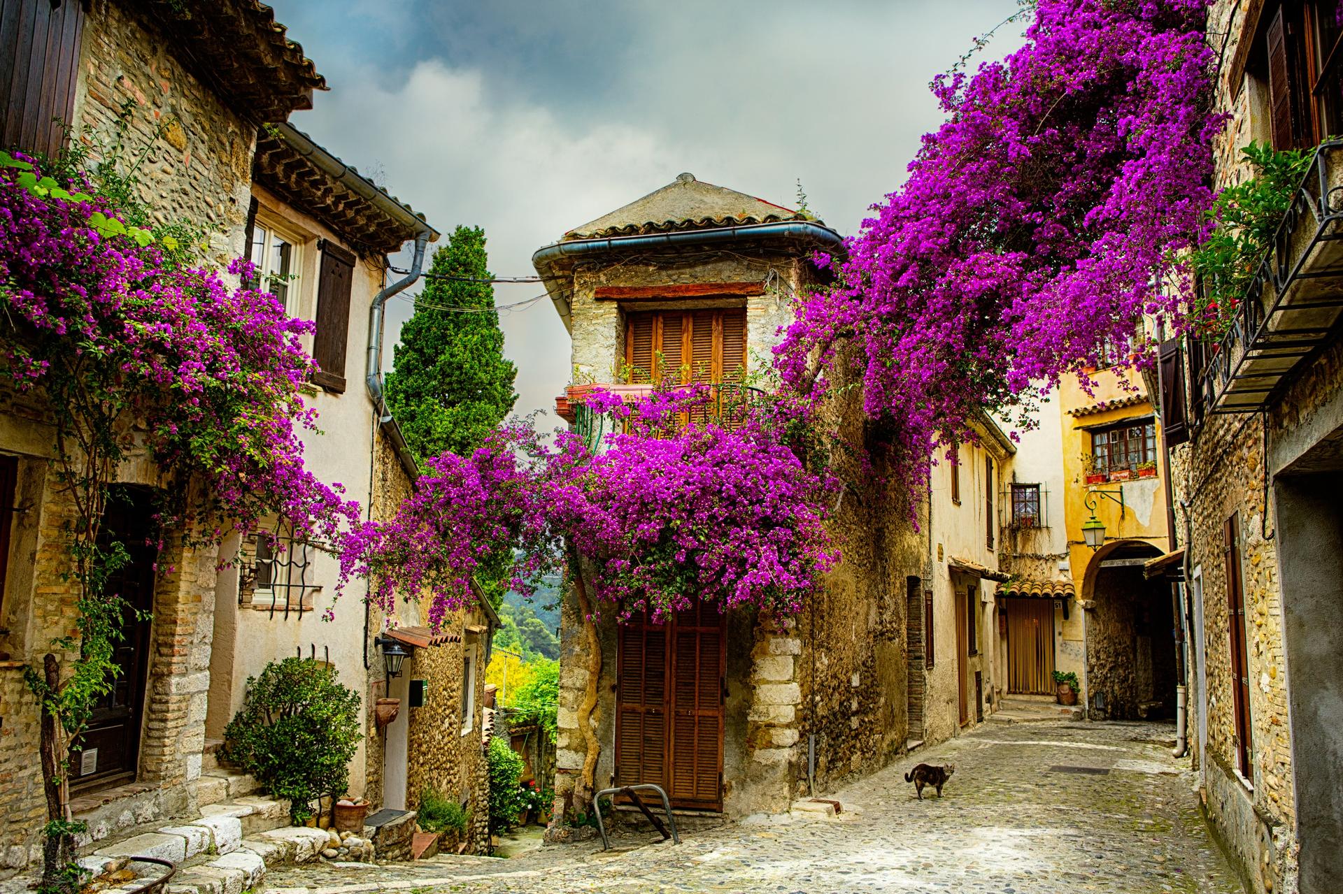 Provence and its Medieval Villages Full-Day Tour from Nice