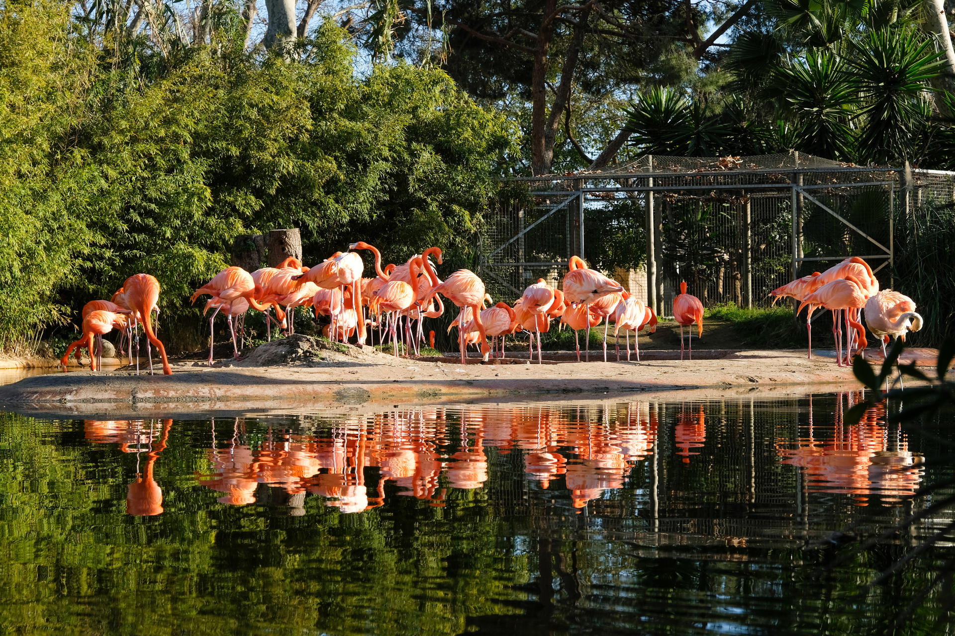 Barcelona Zoo Ticket - Thumbnail 5