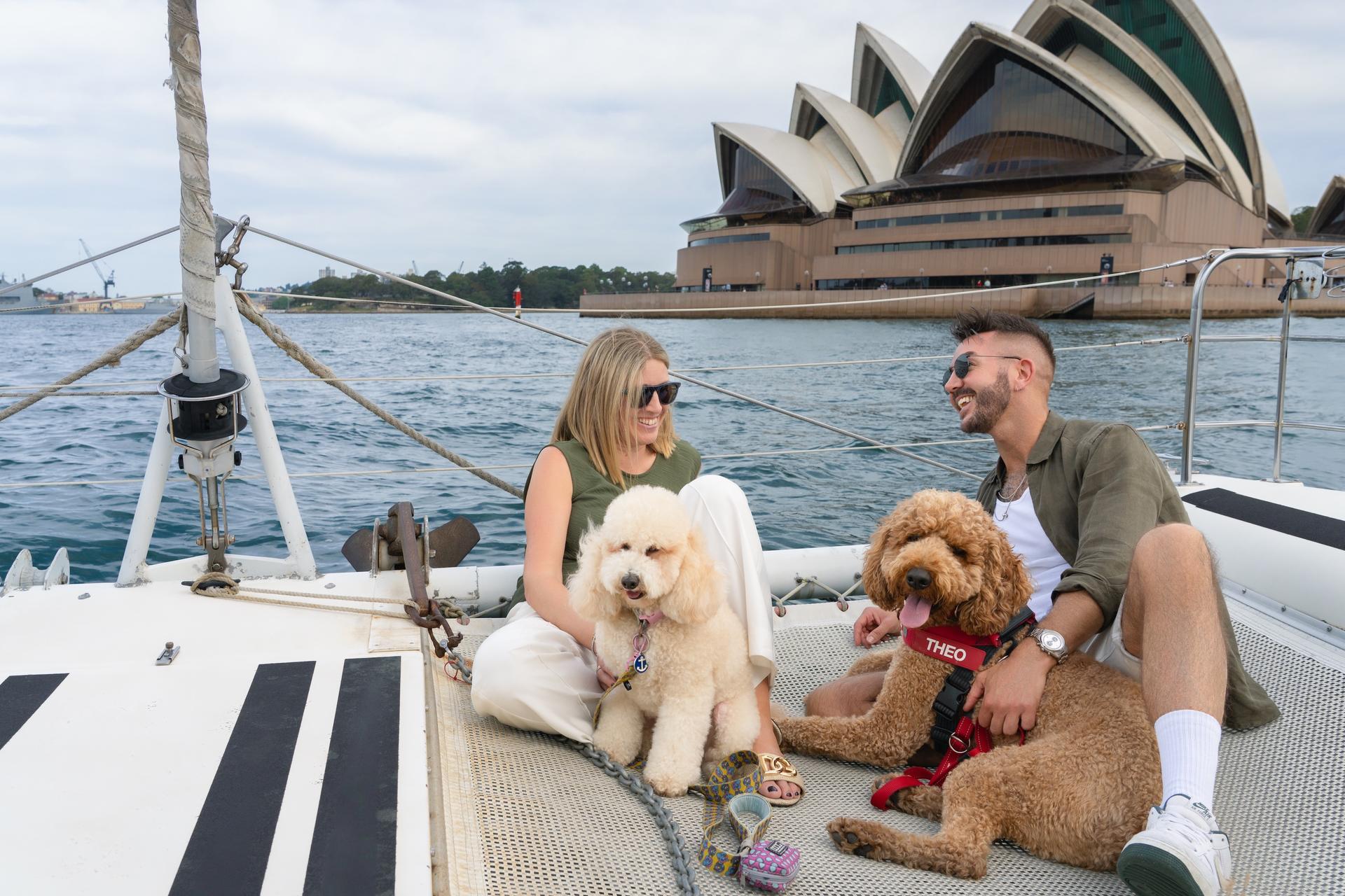 Sydney's 1st Dog Friendly Harbour Cruise: Dogs on Deck - Thumbnail 2