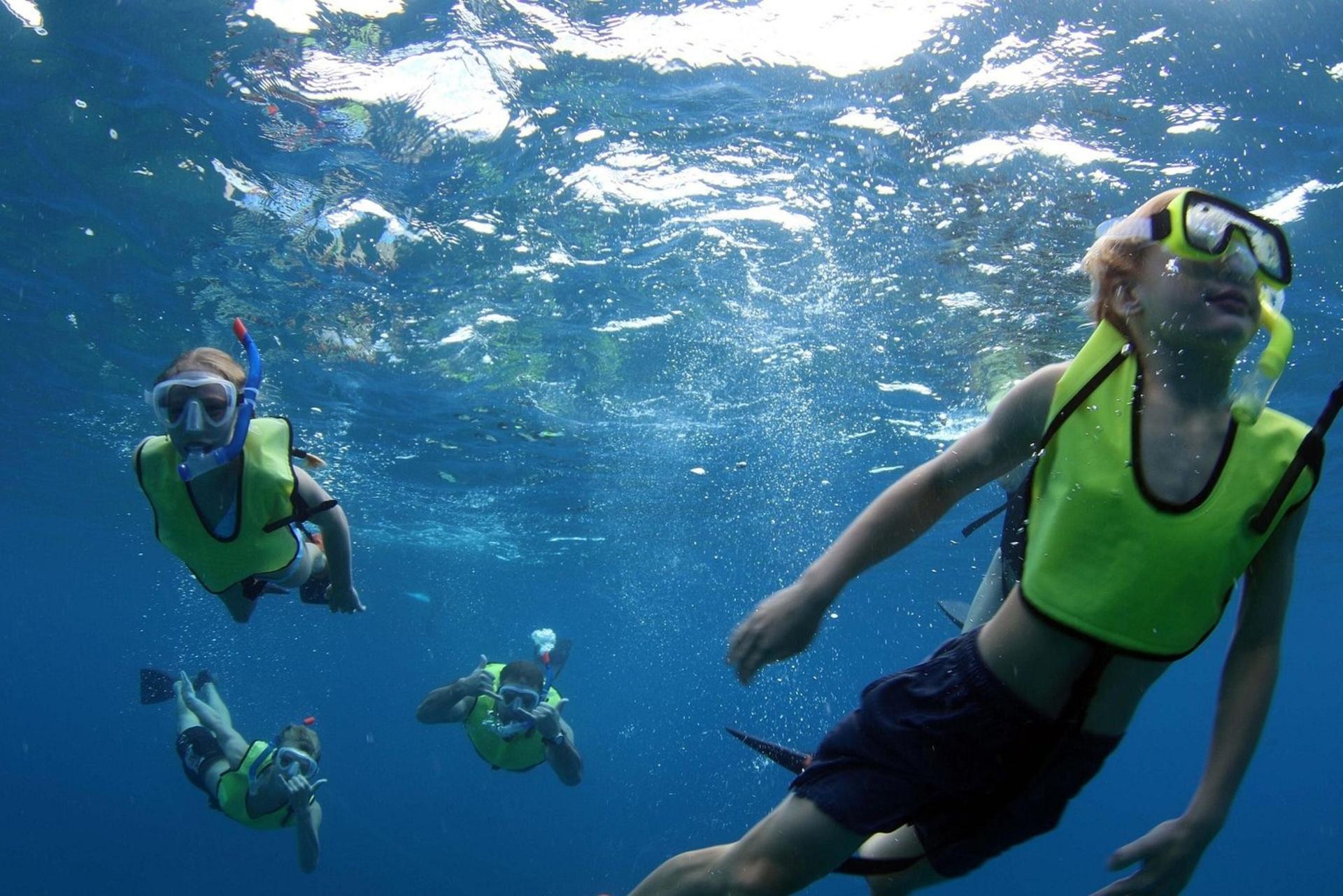 Luxury Afternoon Snorkeling Cruise and Dolphin Watch from Ko Olina - Thumbnail 4