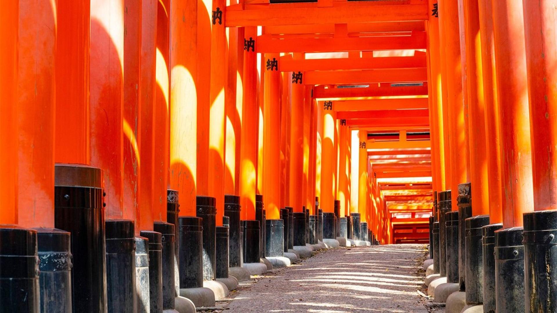 [1 Person Group] Meet adorable deer, stroll through ancient capitals: Kyoto, Nara, Osaka Kansai classic panoramic one-day tour - Thumbnail 6