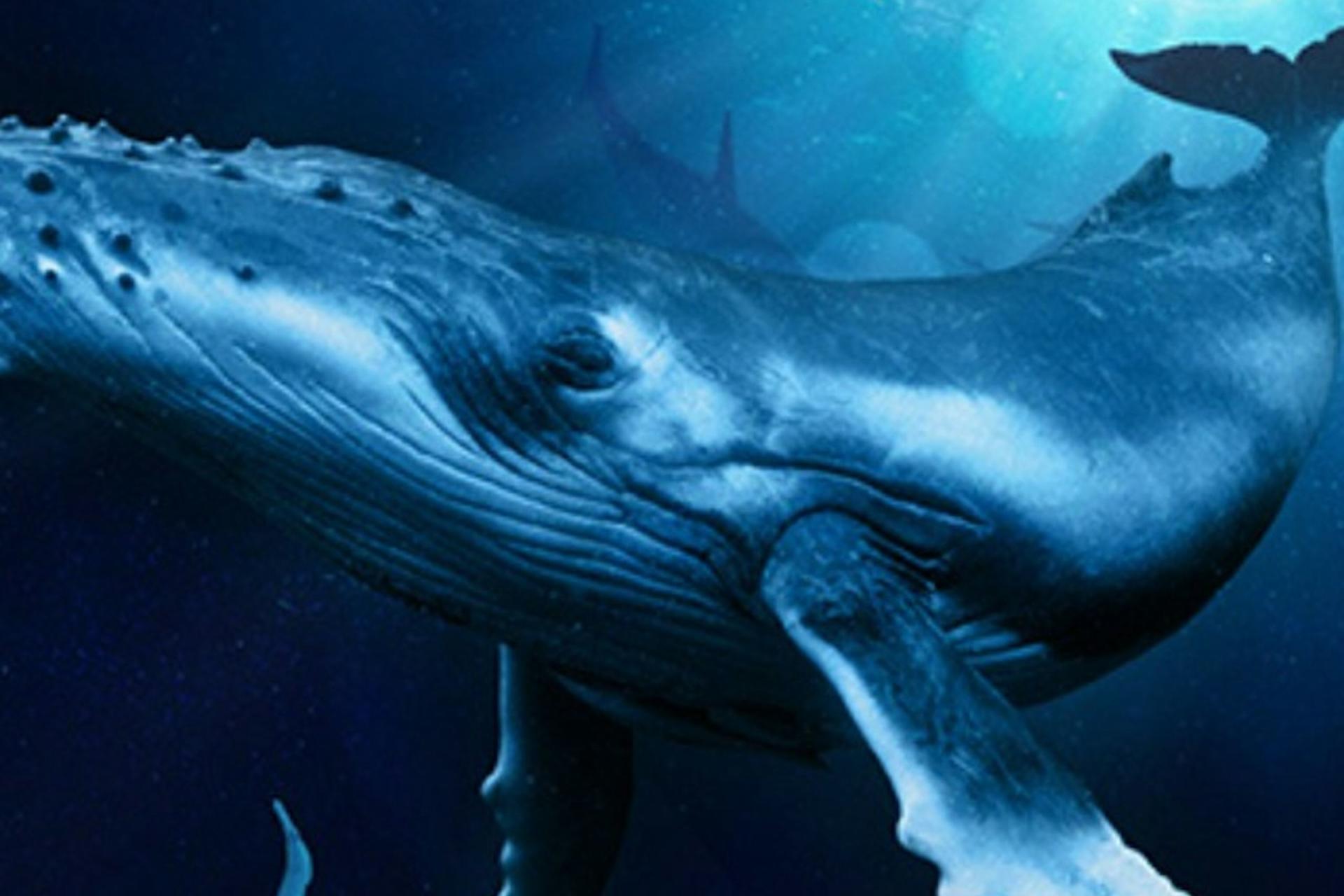 Palma Aquarium ticket in Mallorca  - Thumbnail 2