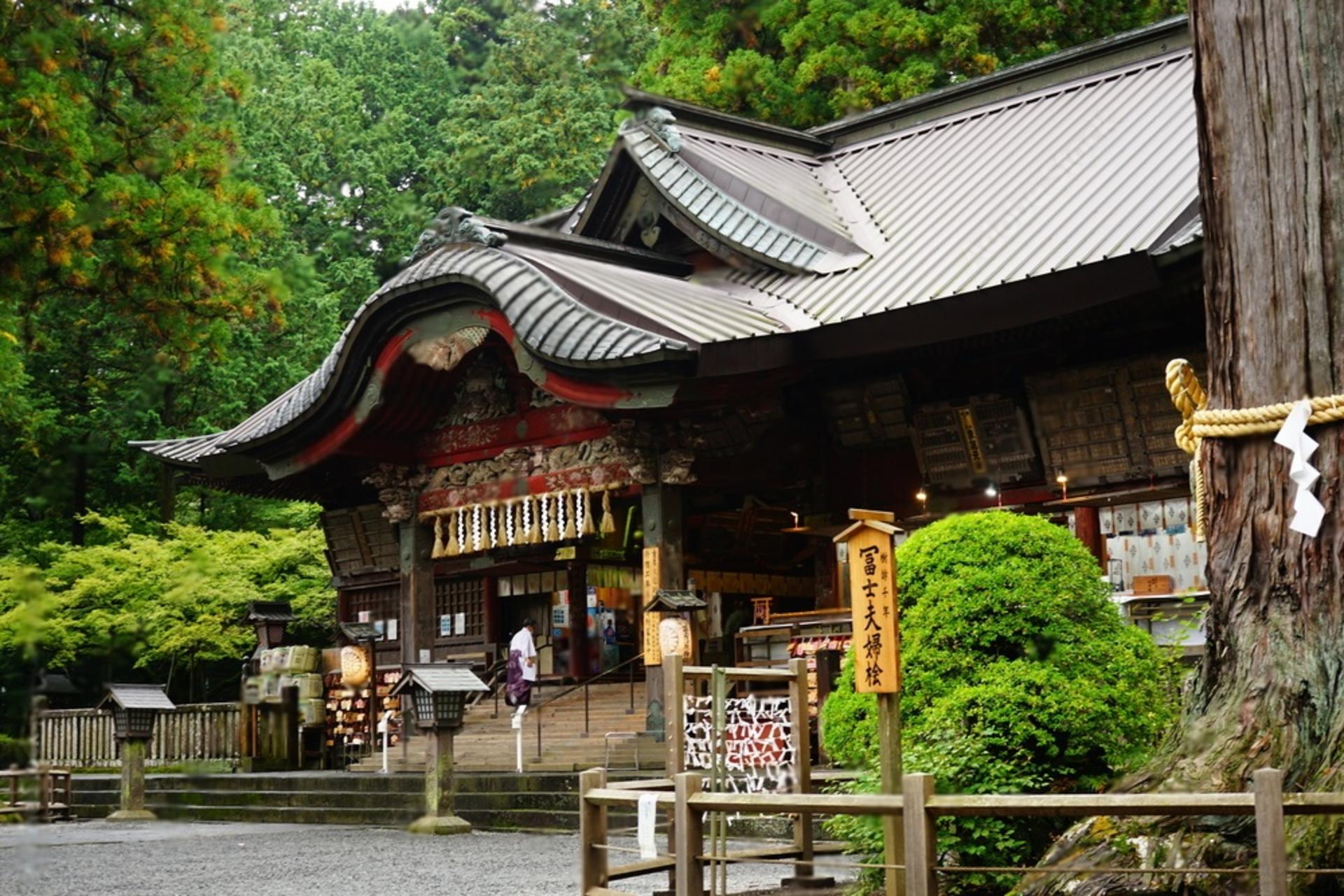10 Day Japan Private Tour Unveiling Maximum Attractions - Thumbnail 5