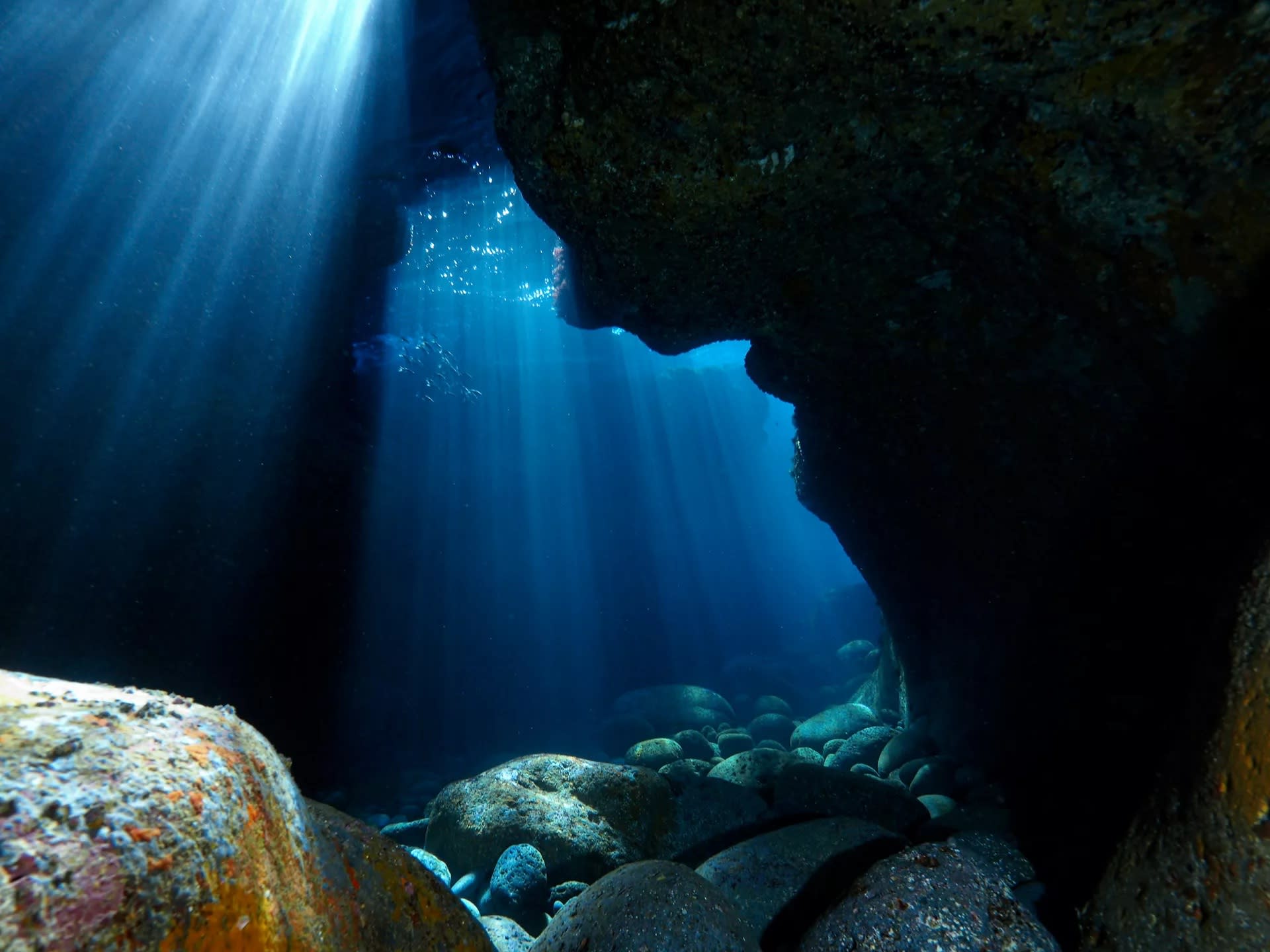 Catania's Coastal Charm: Short Snorkeling Excursion with PADI Center - Image 1