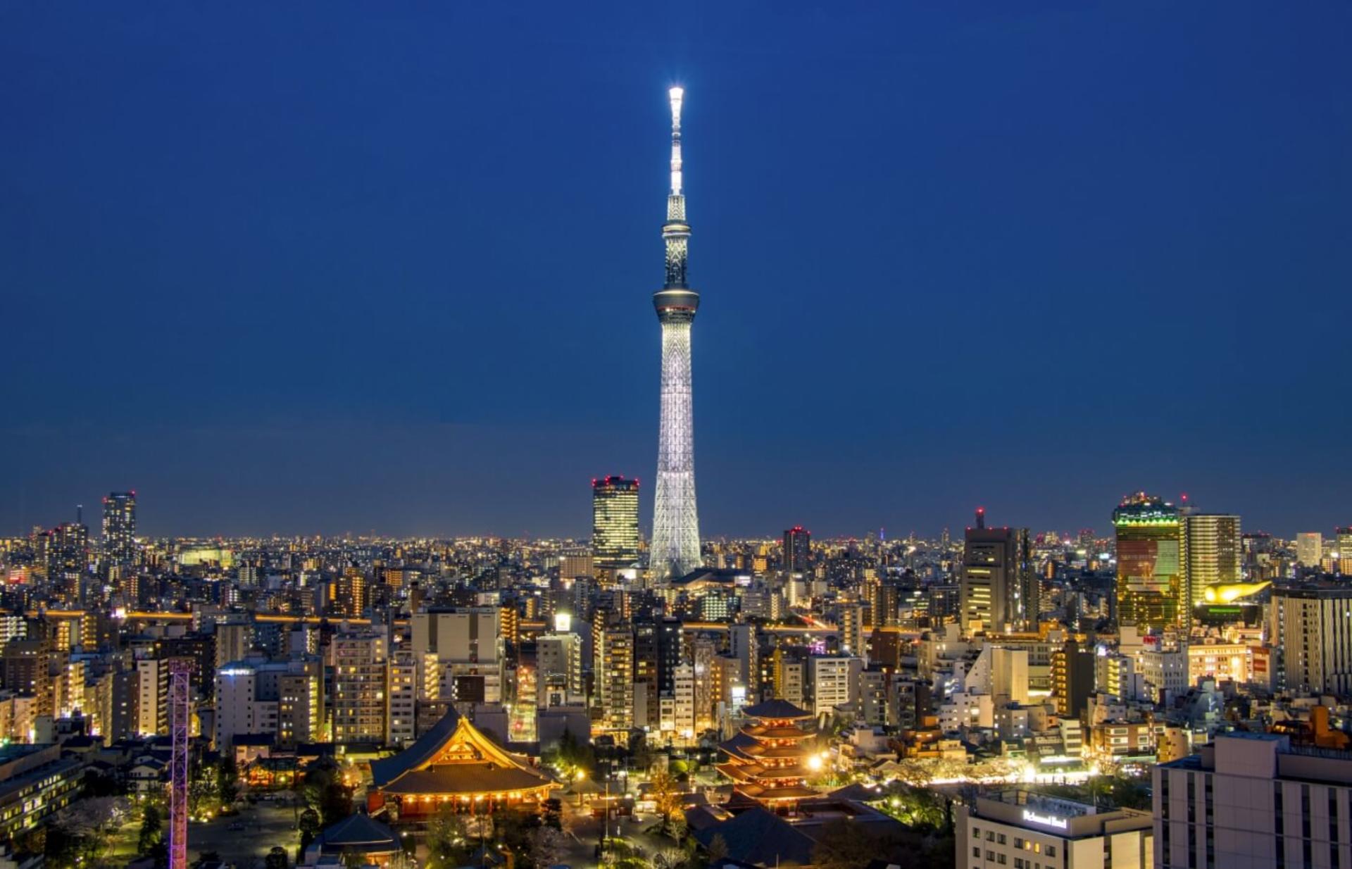 Tokyo Private Chartered Car Day Tour (Customizable Itinerary) - Thumbnail 8