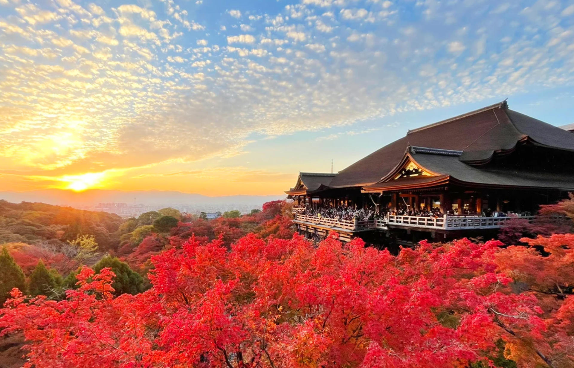 Kyoto & Nara Day Trip: Kiyomizu-dera Temple & Fushimi Inari Shrine & Nara Park (Departure from Osaka/Kyoto) - Image 1