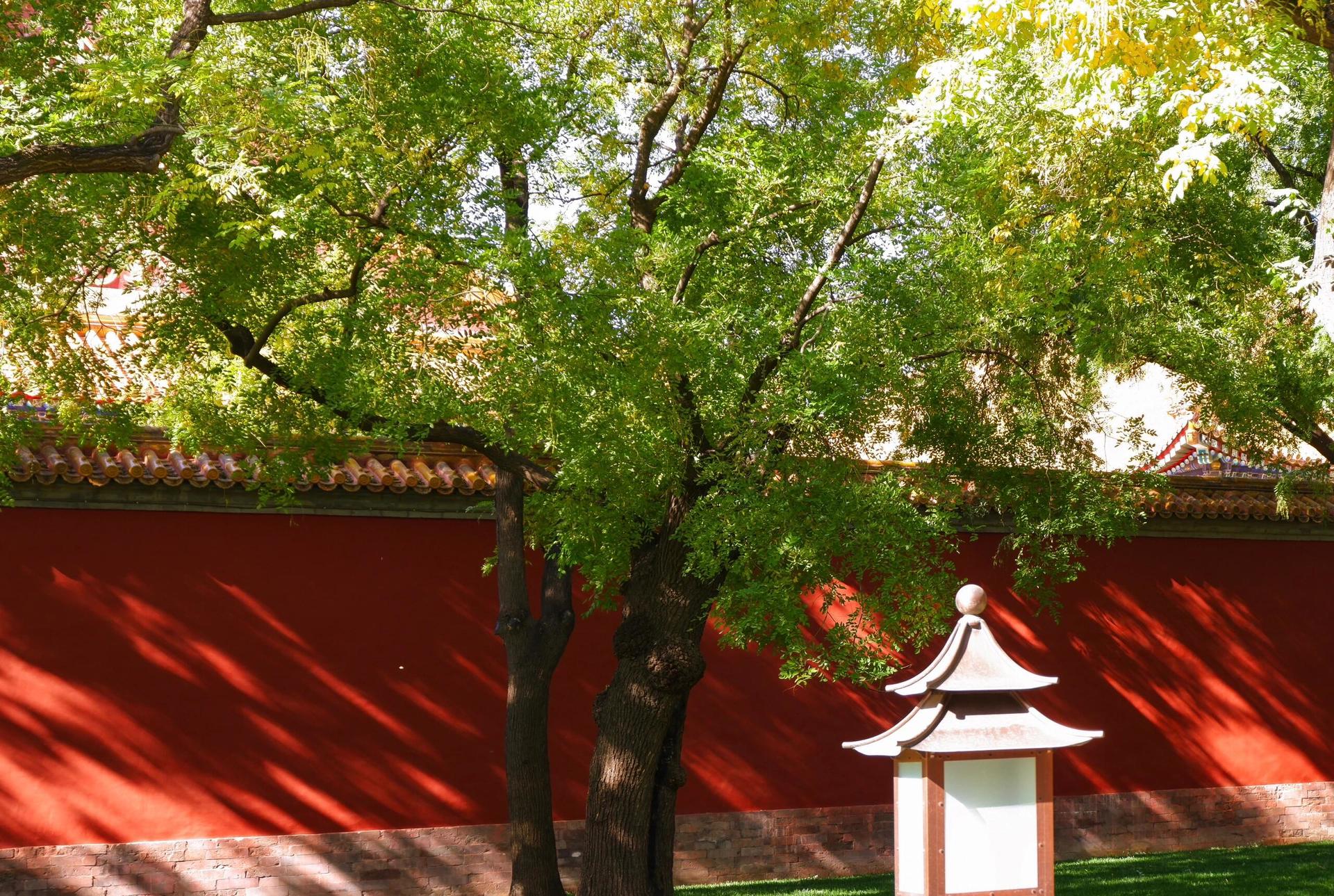 Beijing Mutianyu Great Wall & Forbidden City  Day Tour - Thumbnail 25