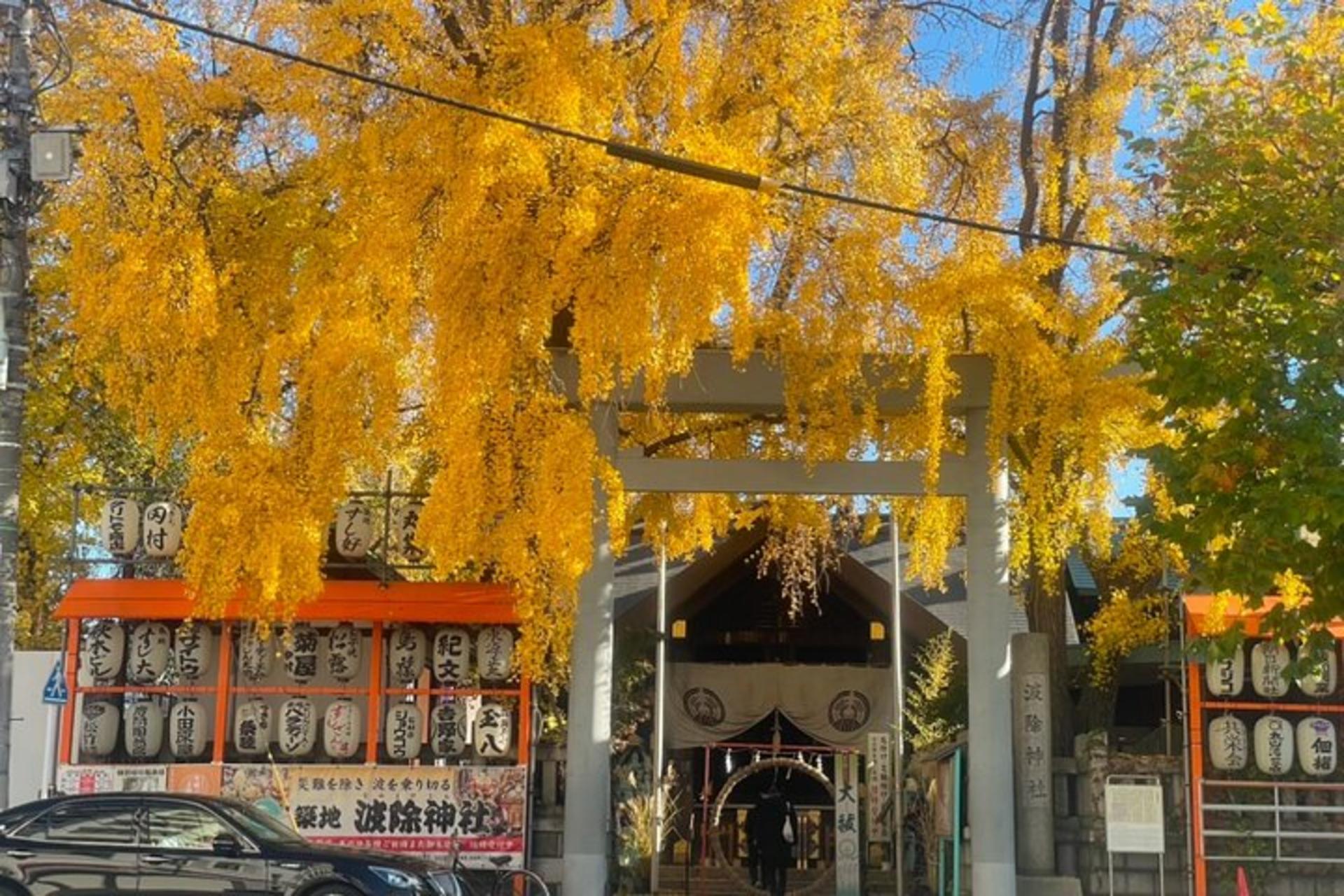 Tokyo Walking Tour: Discover Japanese culture in 3 Areas  - Thumbnail 6