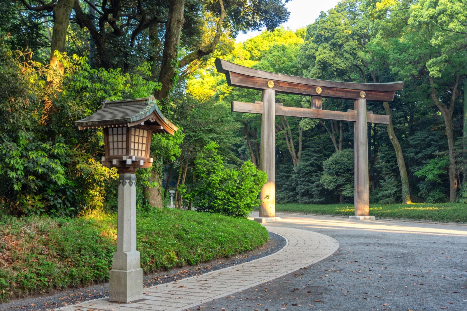 Half-Day Tokyo Afternoon Small Group City Exploration Tour - Thumbnail 5