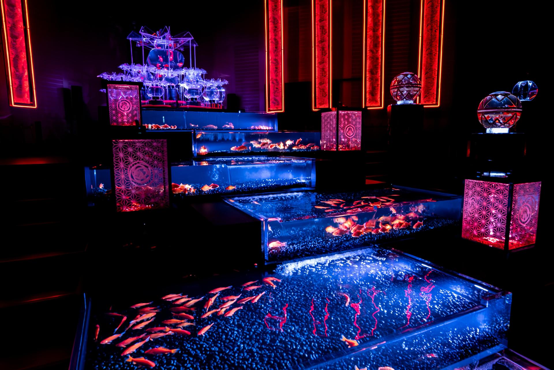 Art Aquarium Exhibition in Nagoya - Thumbnail 4
