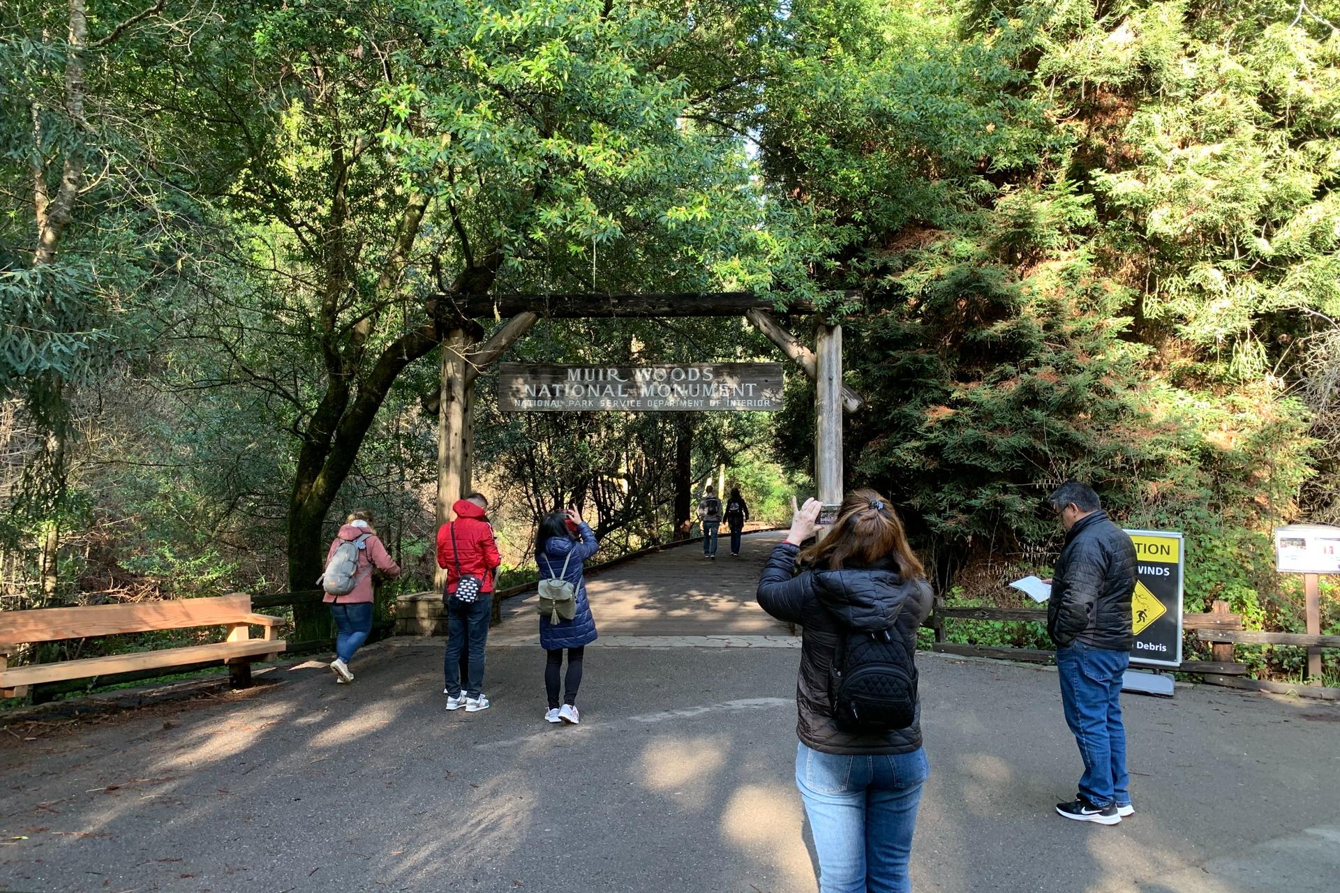 Muir Woods and Sausalito Half Day Tour - Thumbnail 9