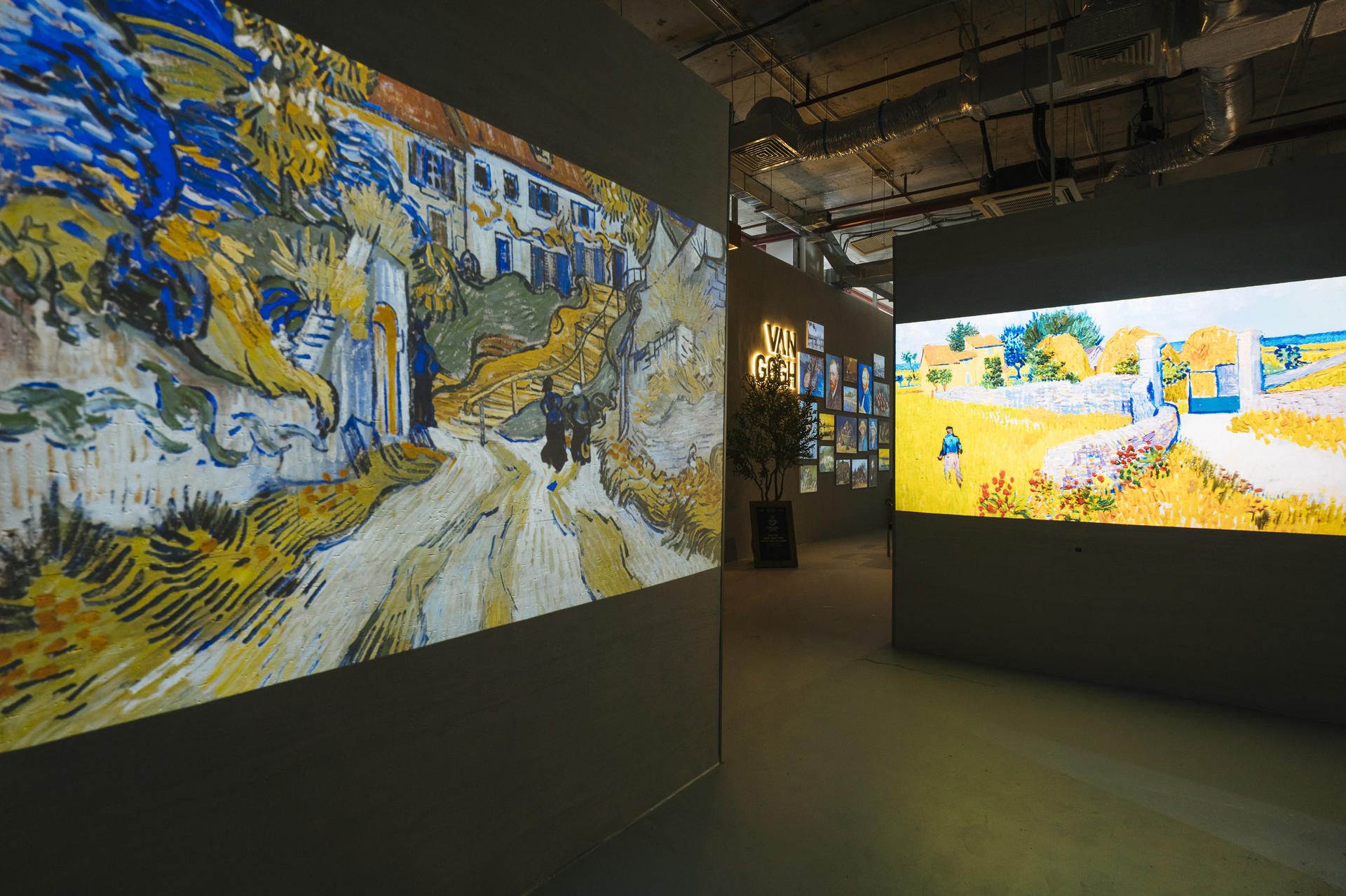 Van Gogh Timeless Exhibition Ticket in Hanoi - Thumbnail 4
