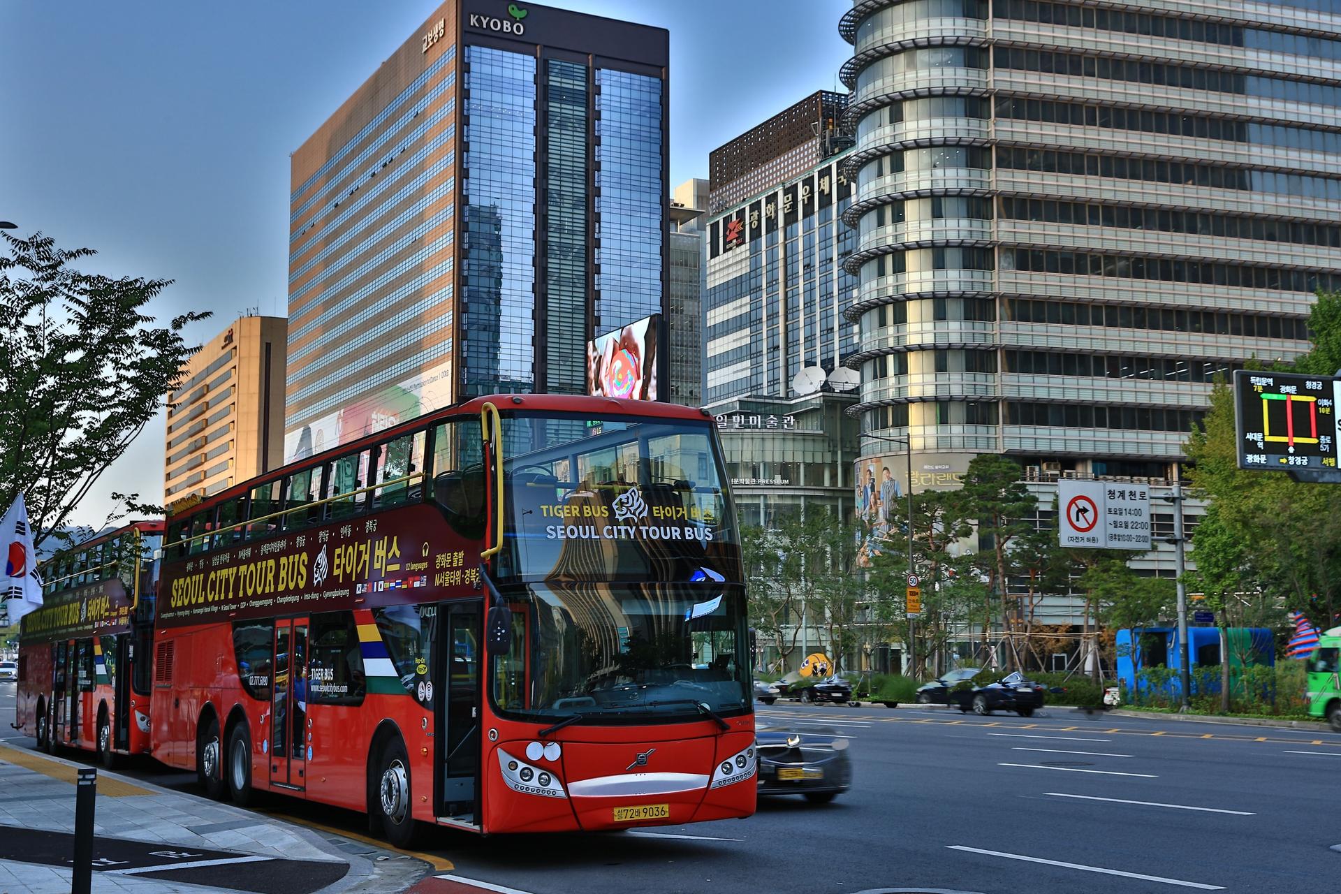 Seoul City Tour Bus Night View Course - Thumbnail 16