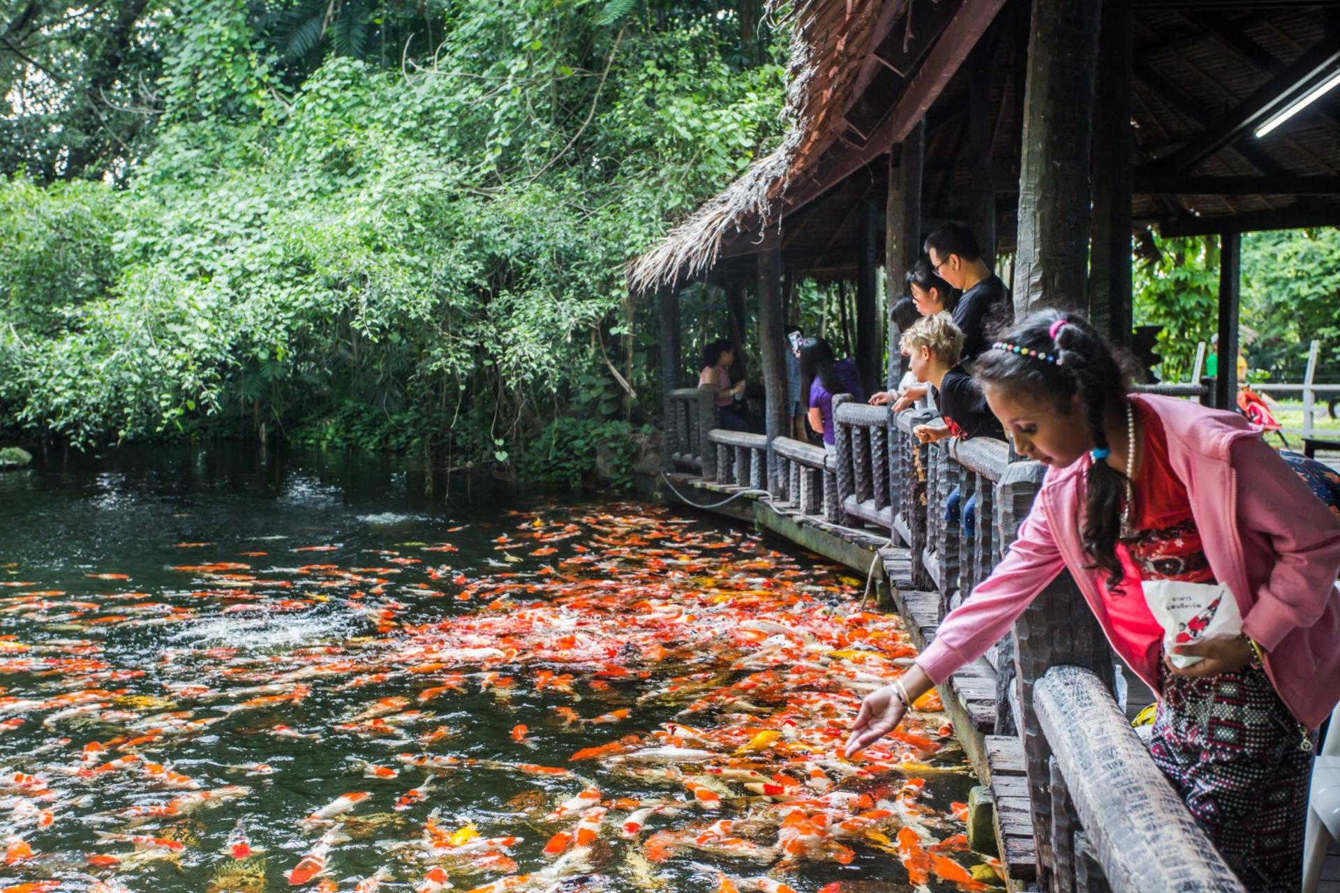 Bangkok Safari World & Chocolate Ville Full-Day Small Group Tour - Thumbnail 4