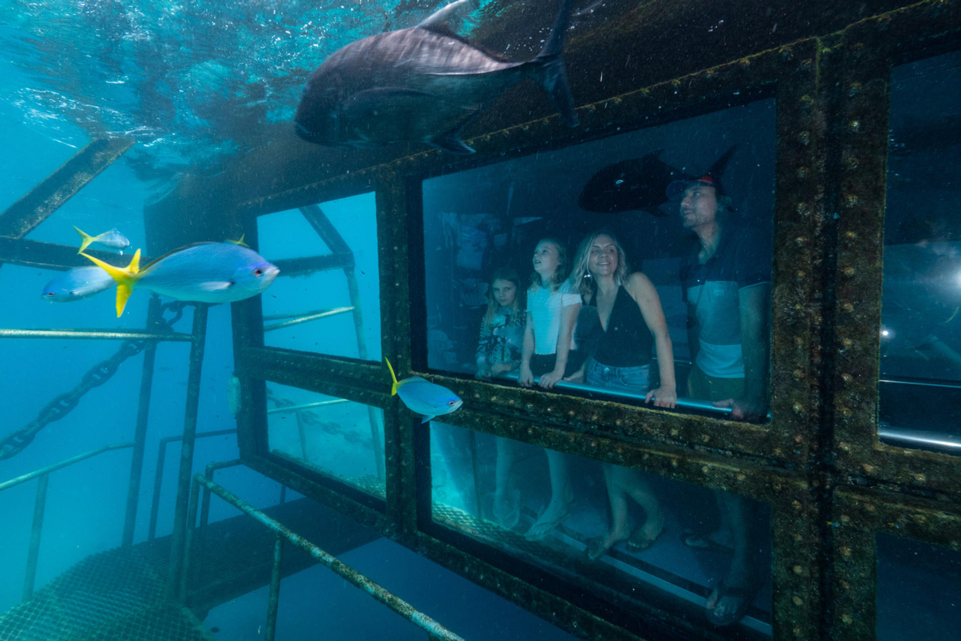 Reef Magic Pontoon Cruise Tour from Cairns - Thumbnail 6