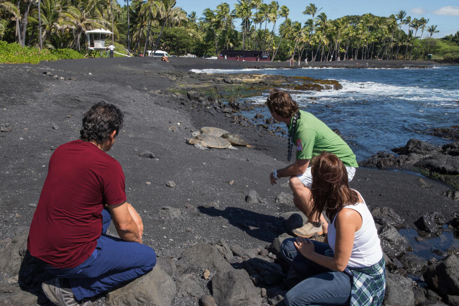 Twilight Volcano and Stargazing Tour in Big Island - Thumbnail 2