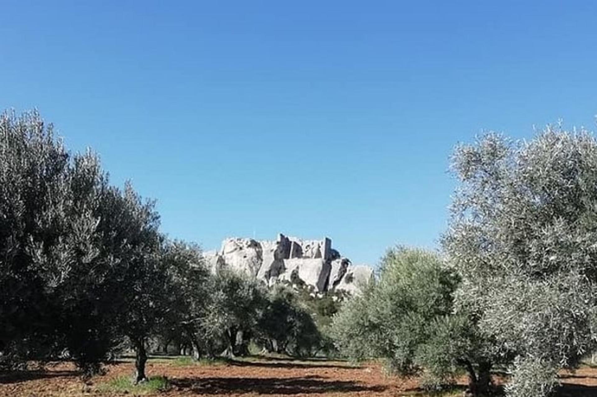 Saint Remy, Les Baux de Provence and Pont du Gard Tour from Avignon - Thumbnail 2