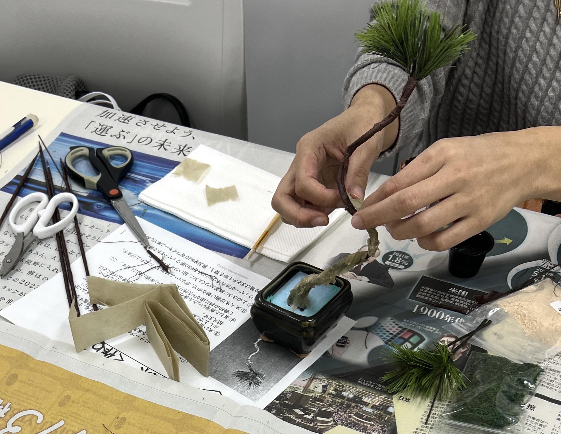 The Art of "Zero-Care" Bonsai: Authentic Crafting in Asakusa - Thumbnail 13