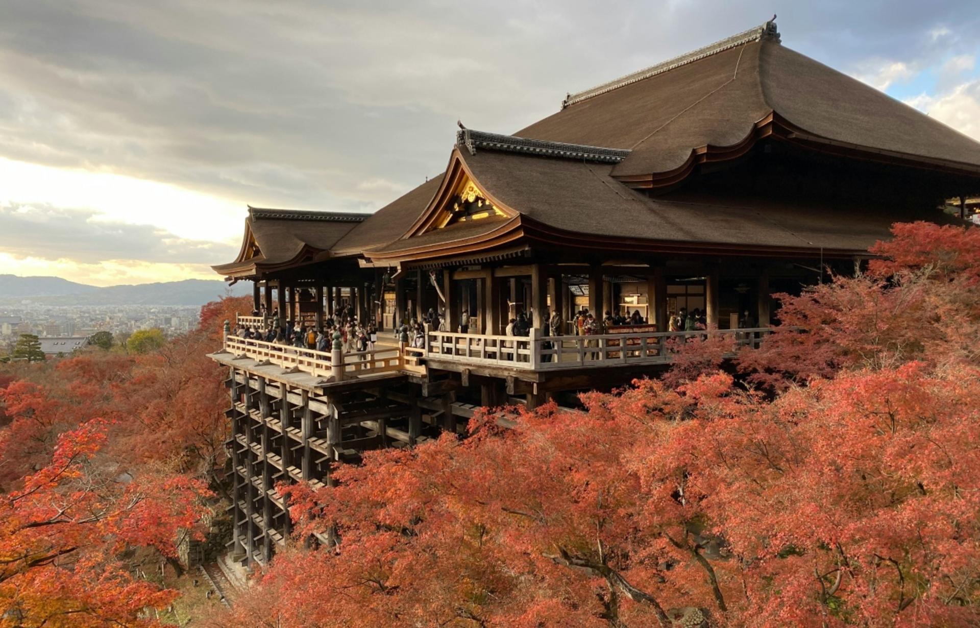 Kyoto & Nara & Amanohashidate 2-Day Tour - Free Shrimp Sticks for Feeding Seagulls (Accommodation Not Included) - Thumbnail 3